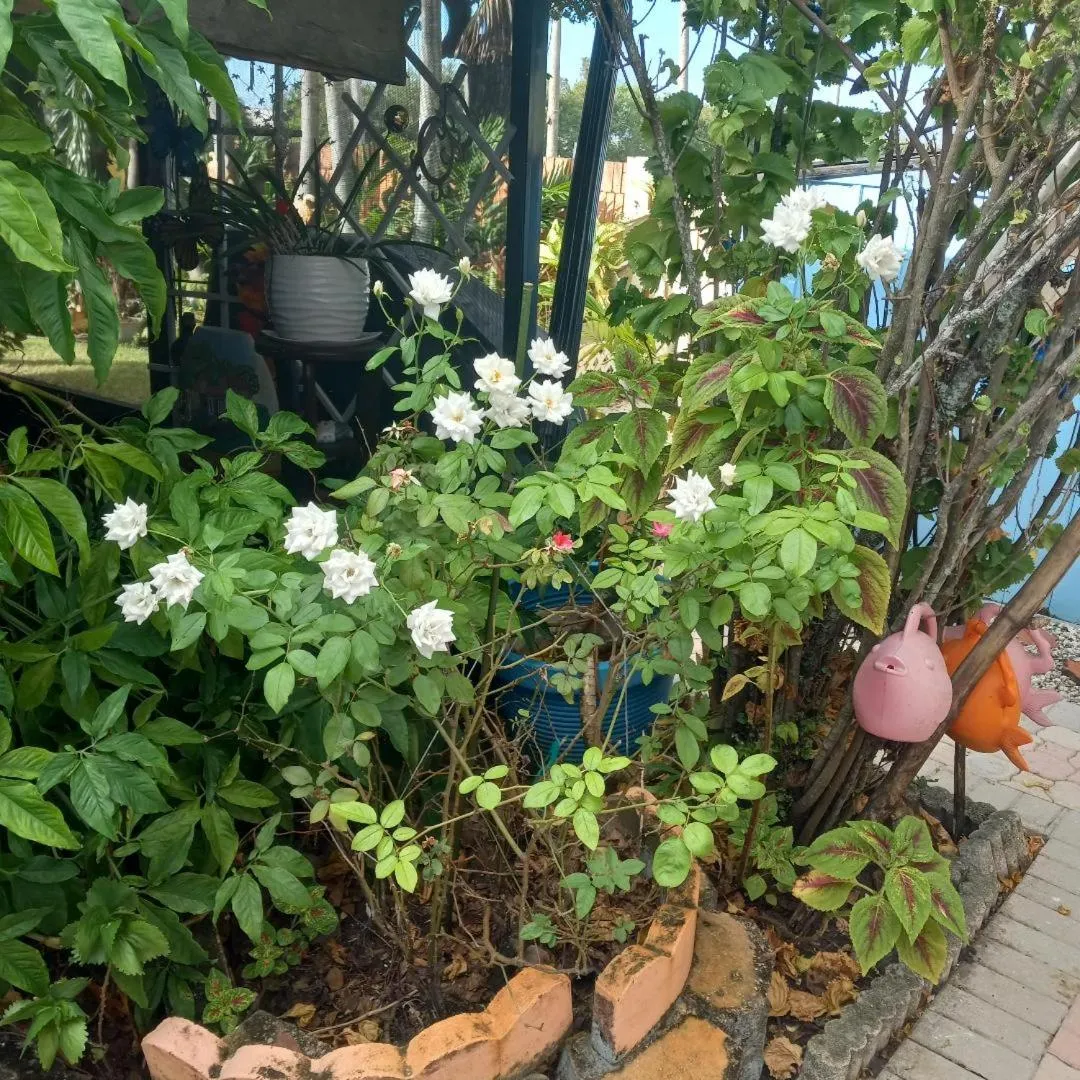 Property building in Hotel Villa Ordonez