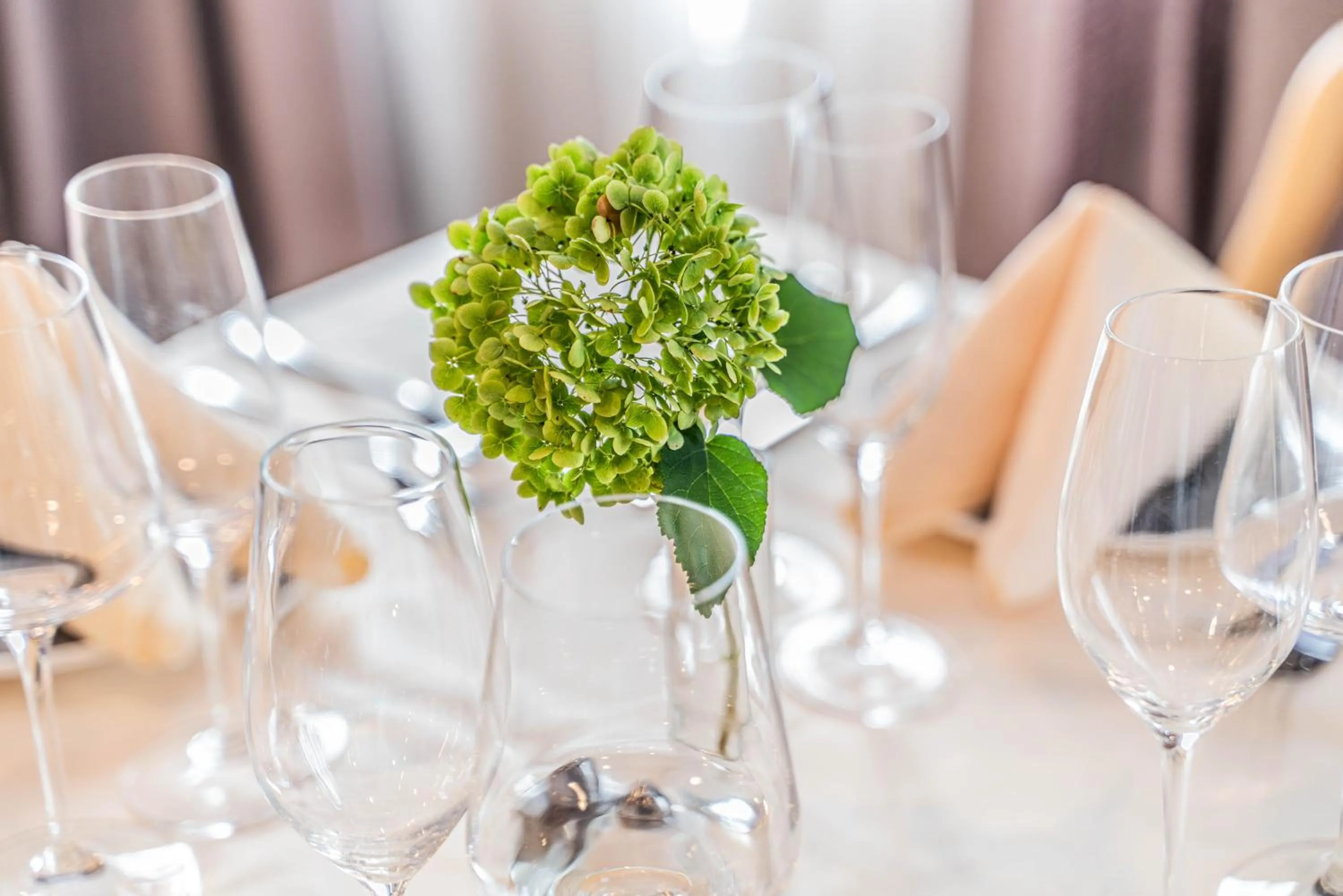 Restaurant/places to eat in Iris Hotel Boston