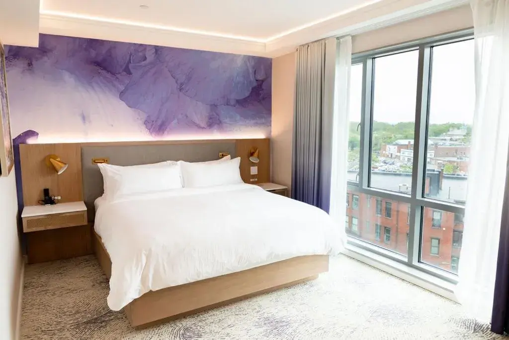 Deluxe King Room in Iris Hotel Boston Deluxe King Room in Iris Hotel Boston