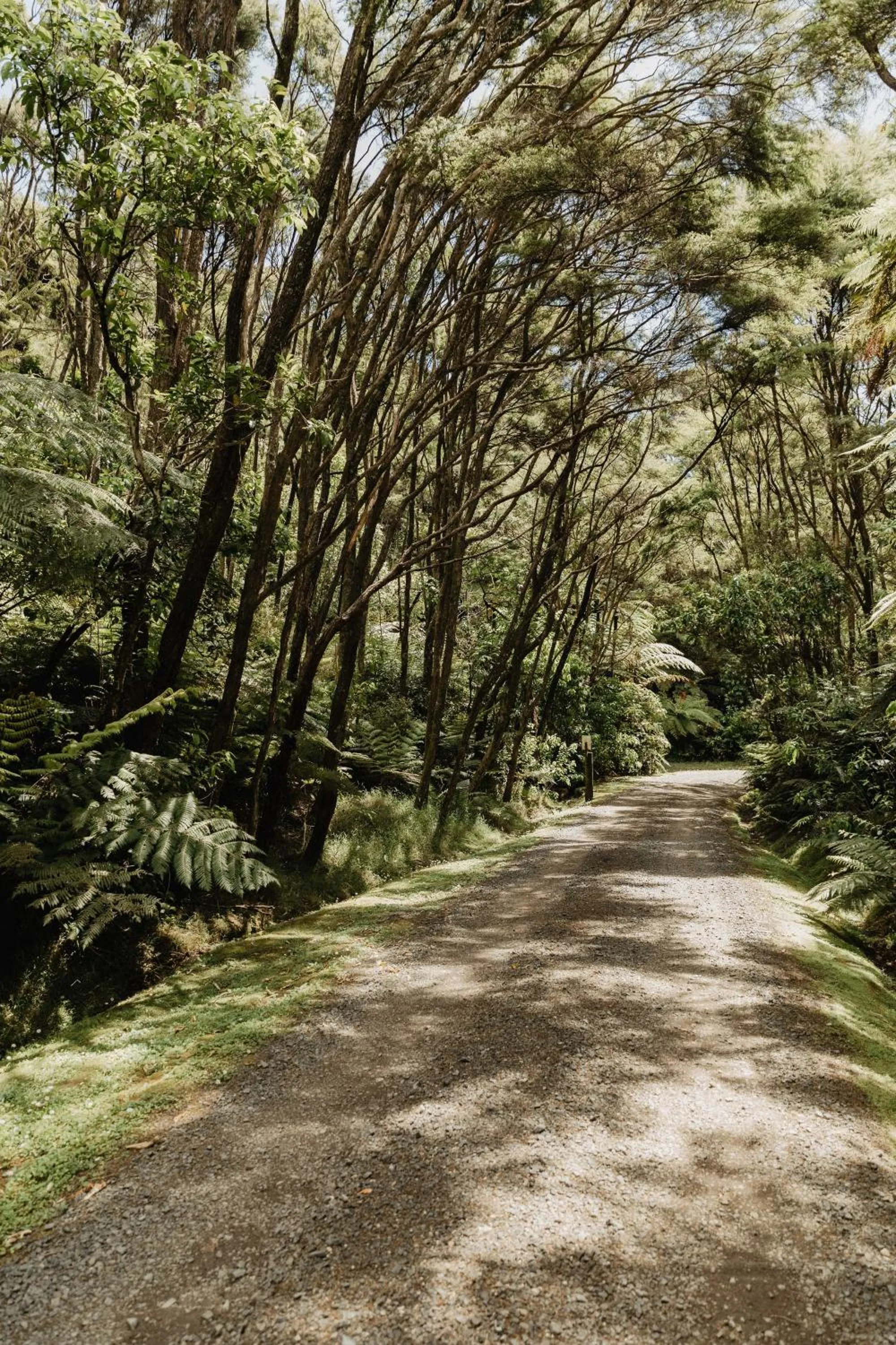 Natural landscape in Buffalo Lodge
