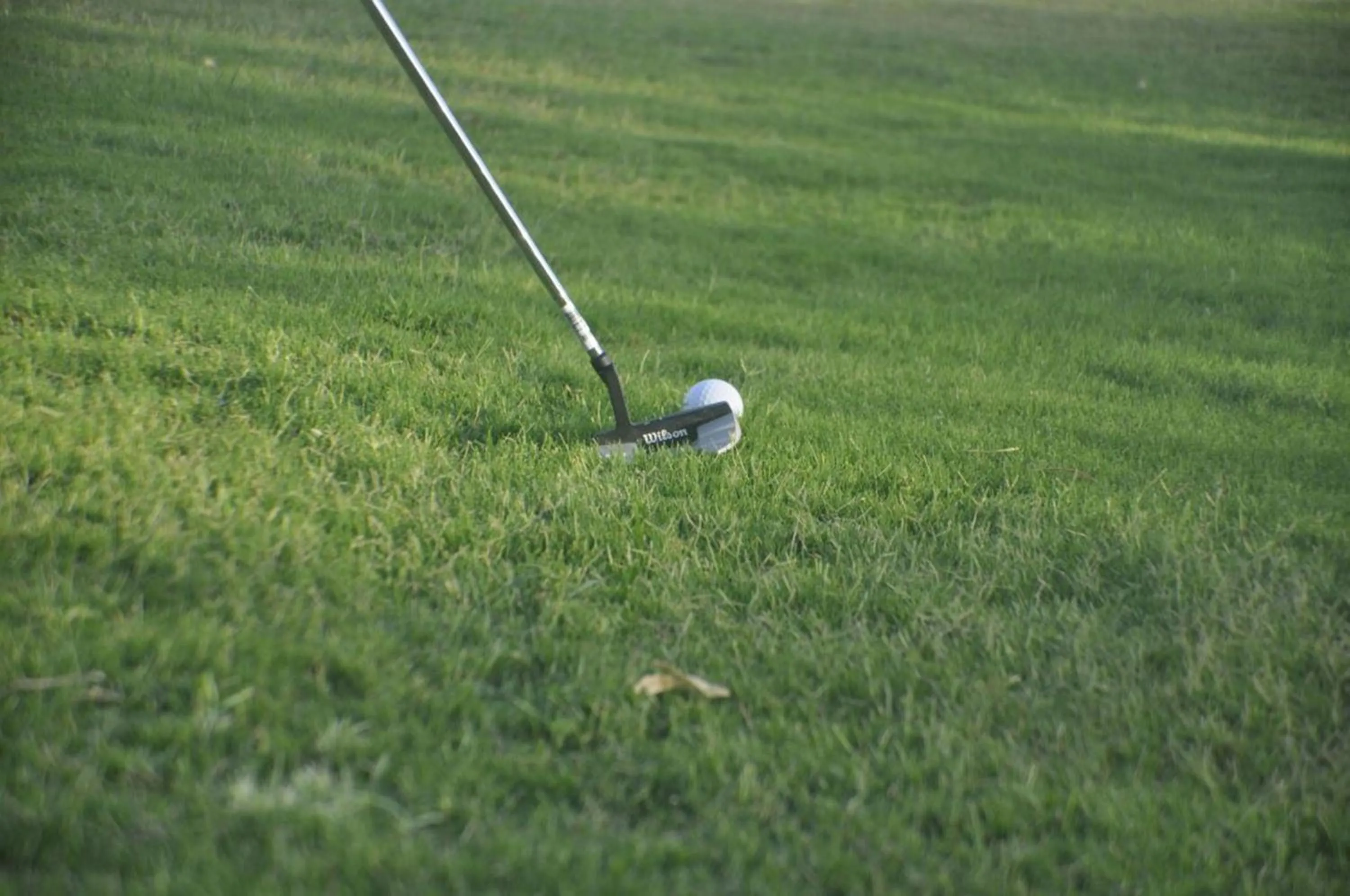 Day in TatSaraasa Resort & Spa, Udaipur