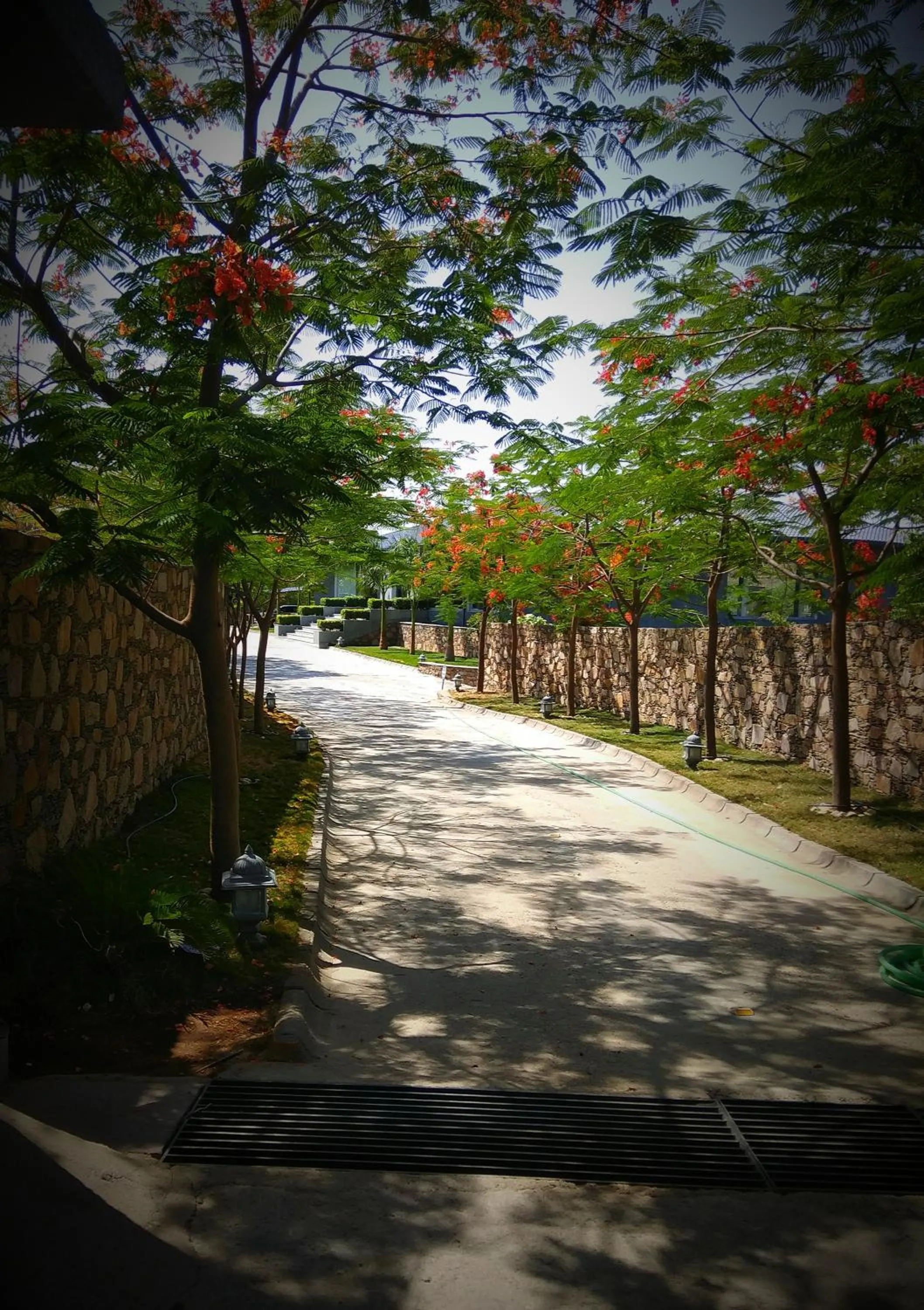 Facade/entrance in TatSaraasa Resort & Spa, Udaipur