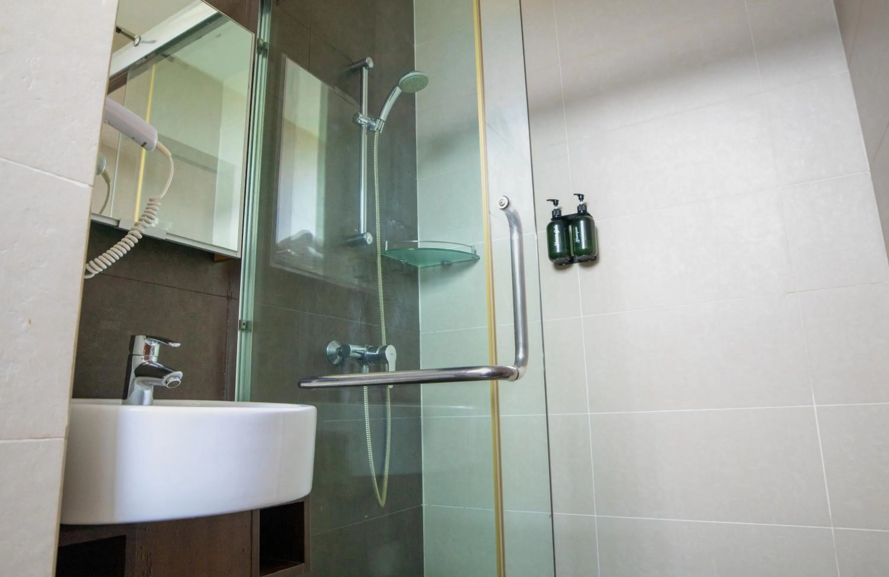 Shower in Swiss Hotel Apartment