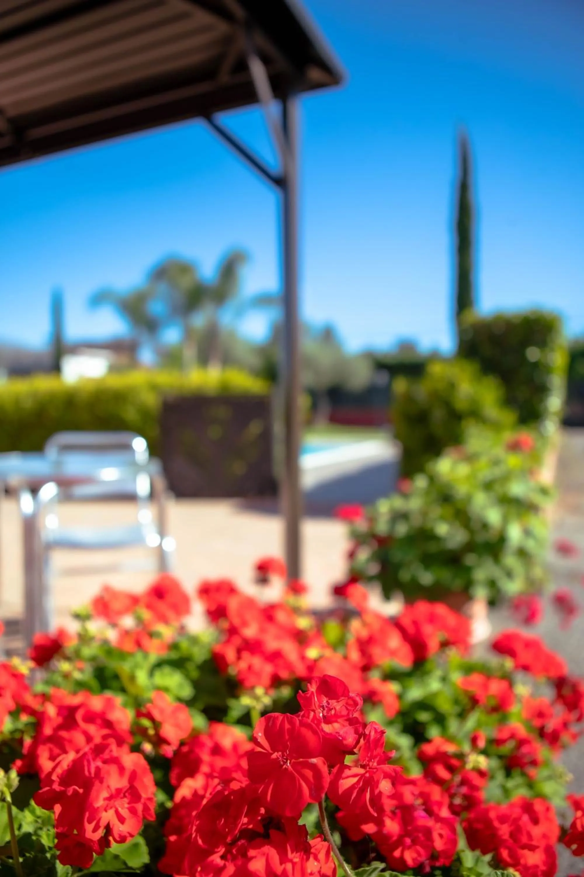 Spring in Affittacamere Campus Trigoria