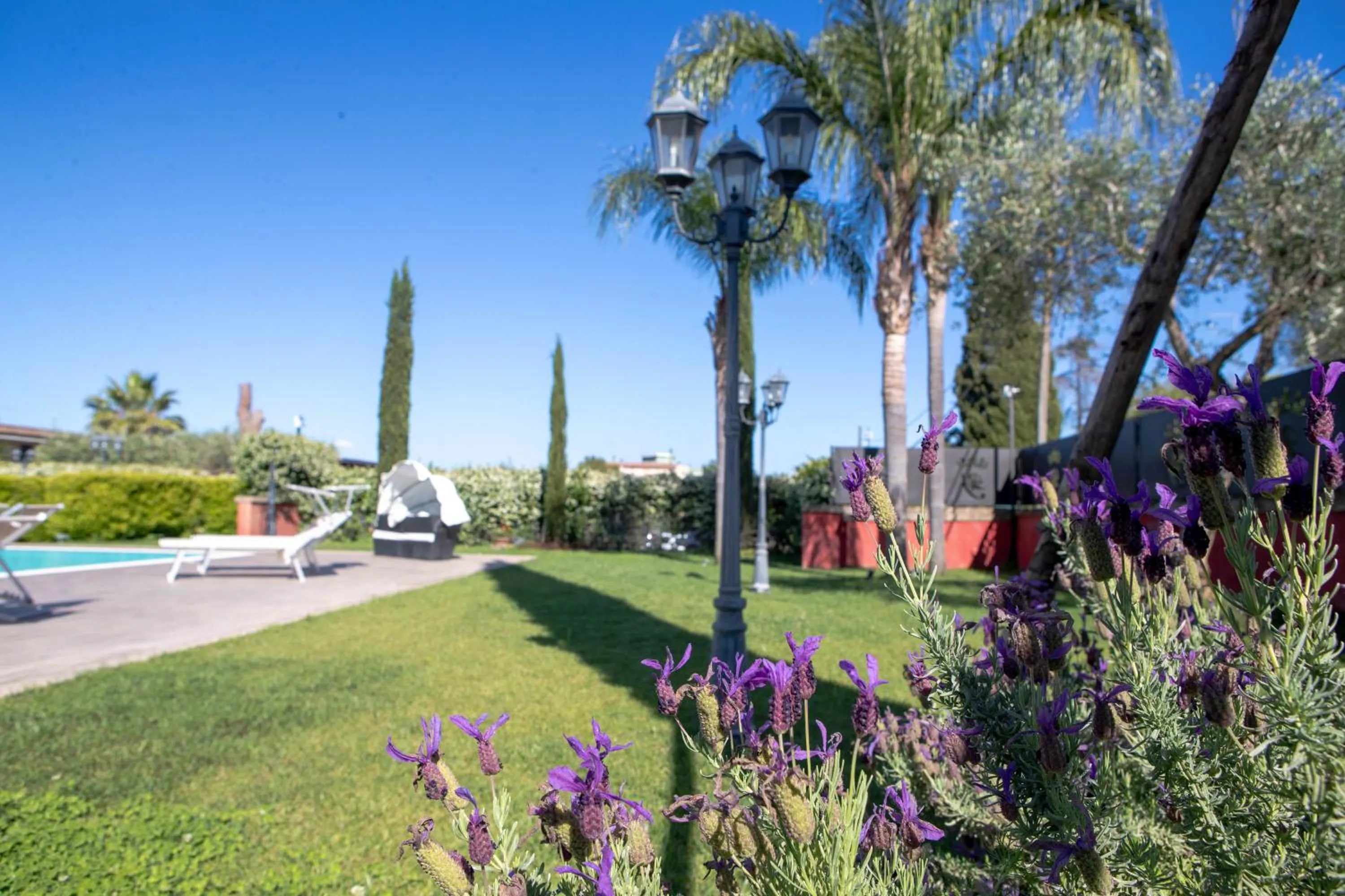 Natural landscape in Affittacamere Campus Trigoria