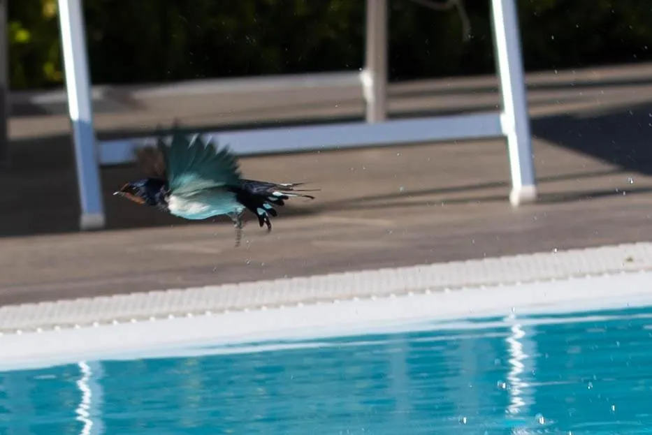 Natural landscape in Affittacamere Campus Trigoria