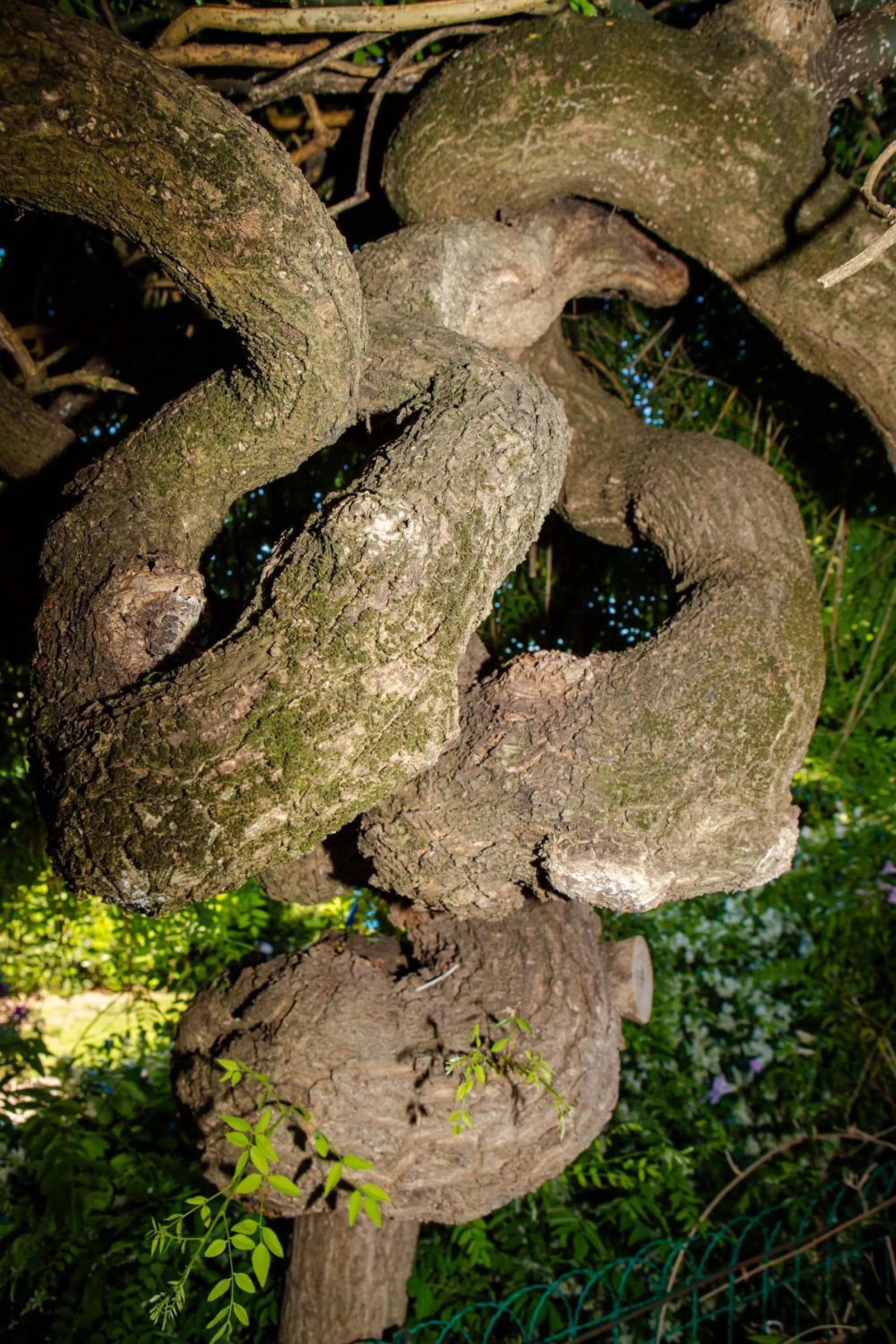 Day in Affittacamere Campus Trigoria