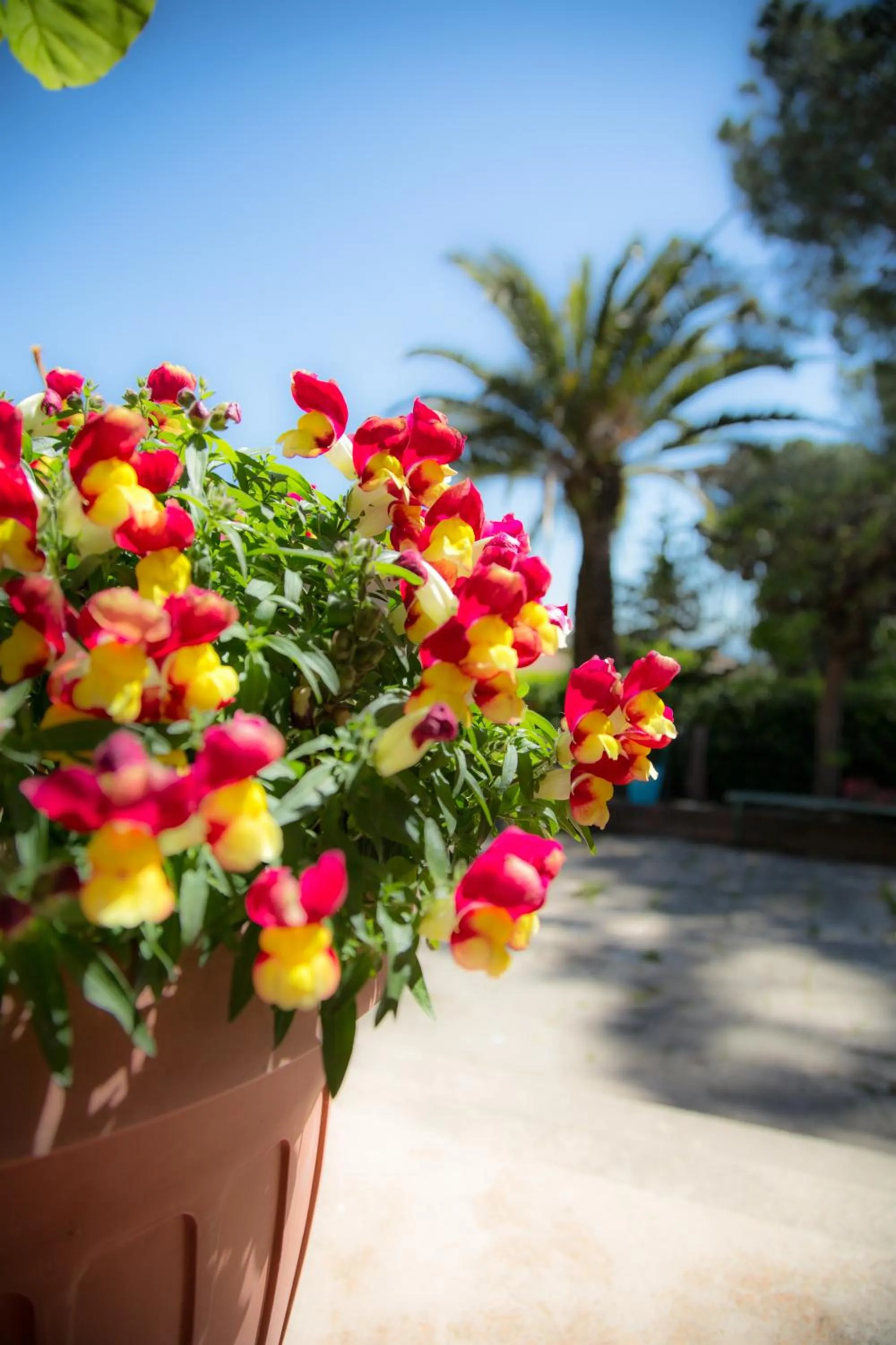 Garden in Affittacamere Campus Trigoria