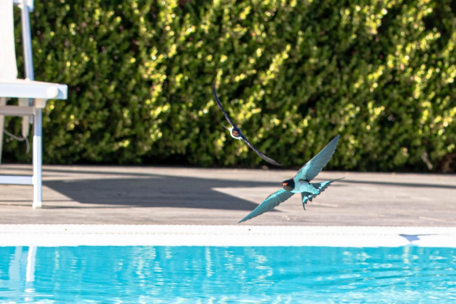 Day in Affittacamere Campus Trigoria