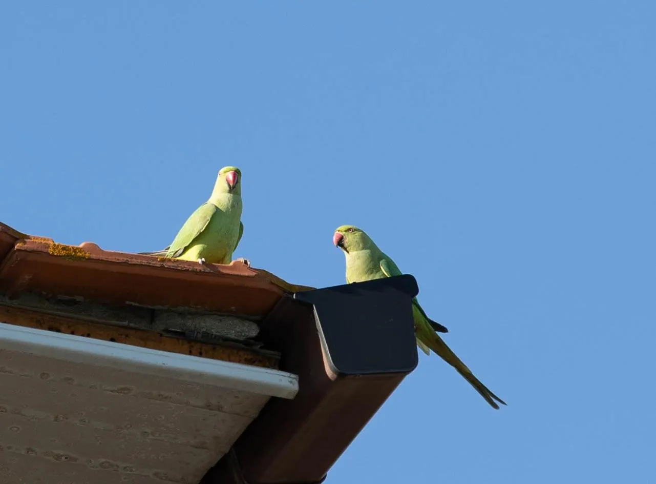 Day in Affittacamere Campus Trigoria