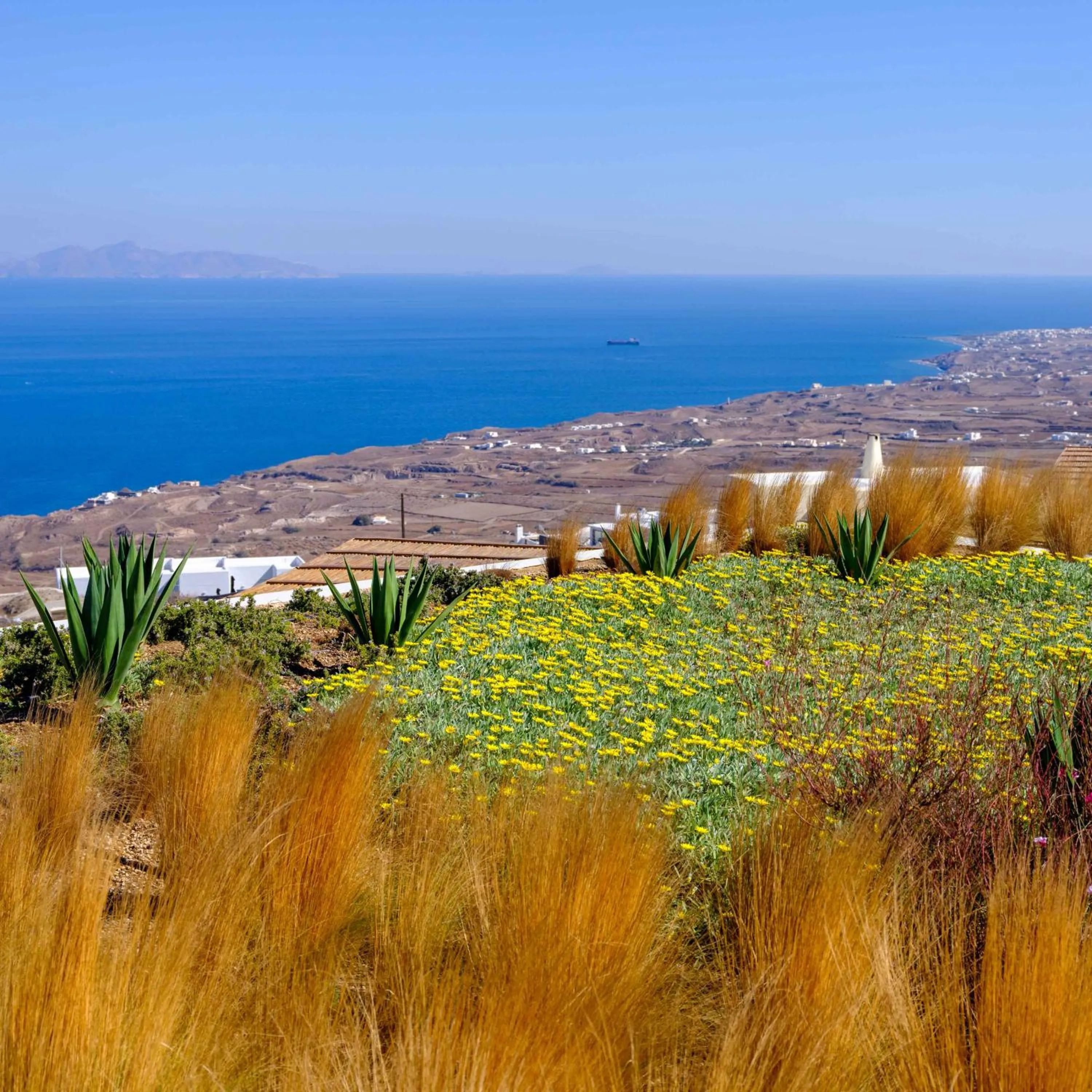 Natural landscape in Secret Path Luxury Villas