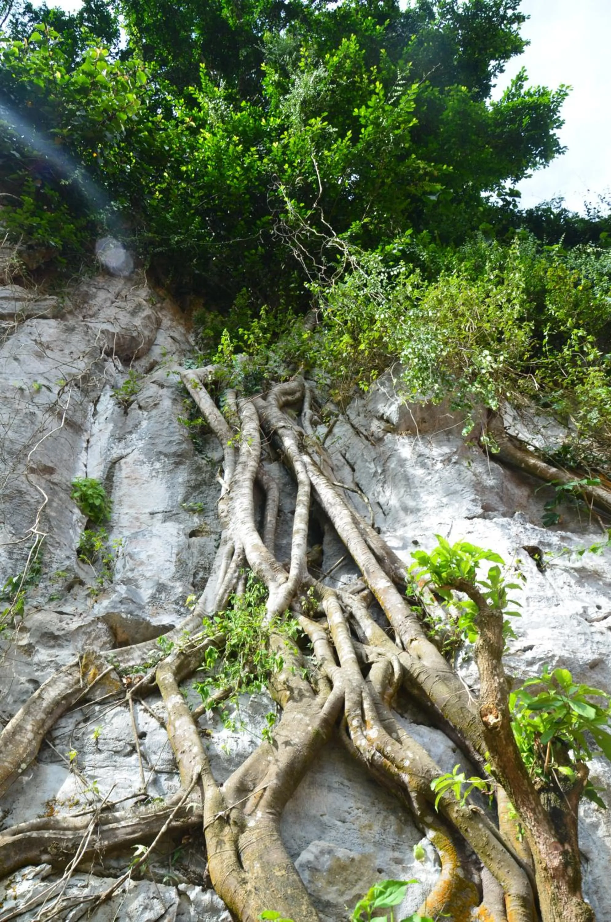 Natural landscape in Country house Pulai Holiday Village