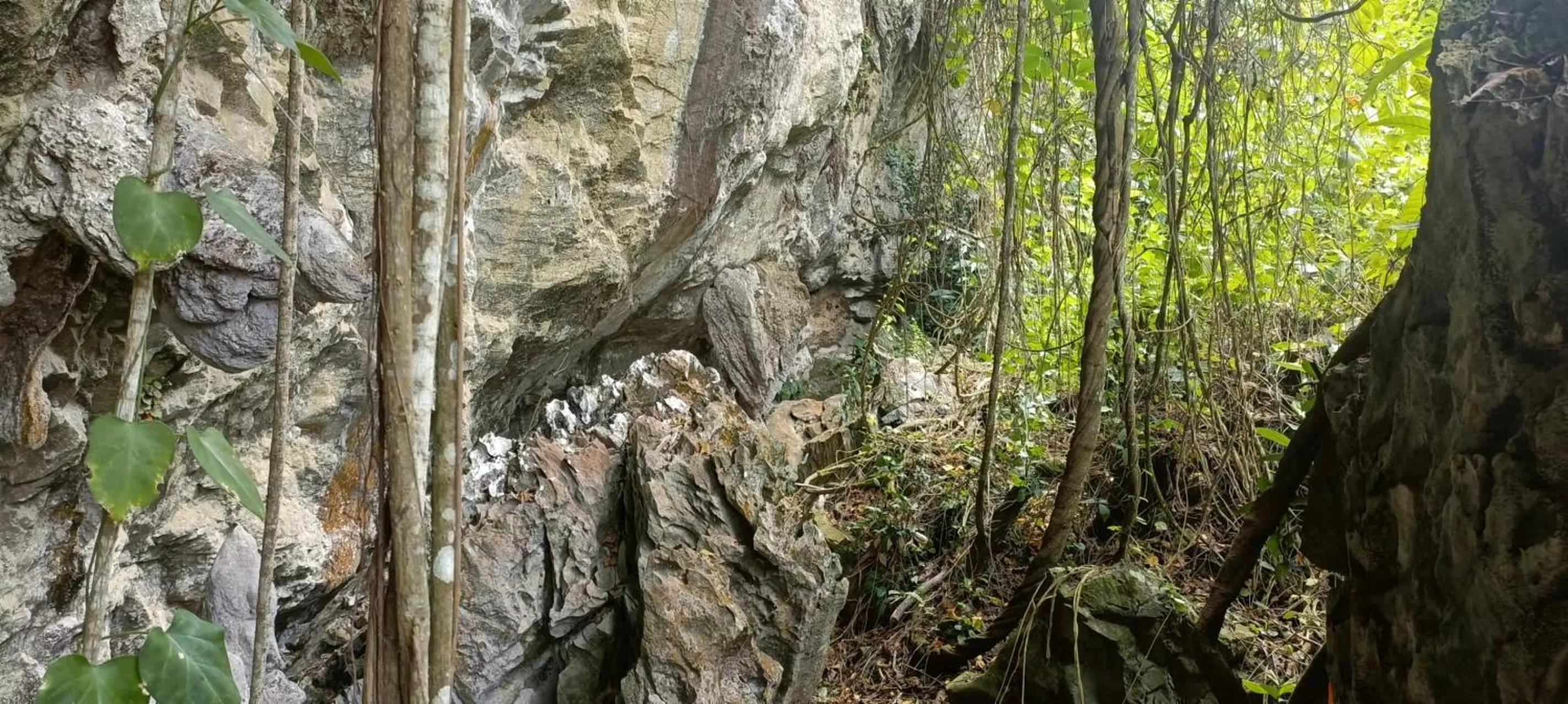 Property building in Country house Pulai Holiday Village