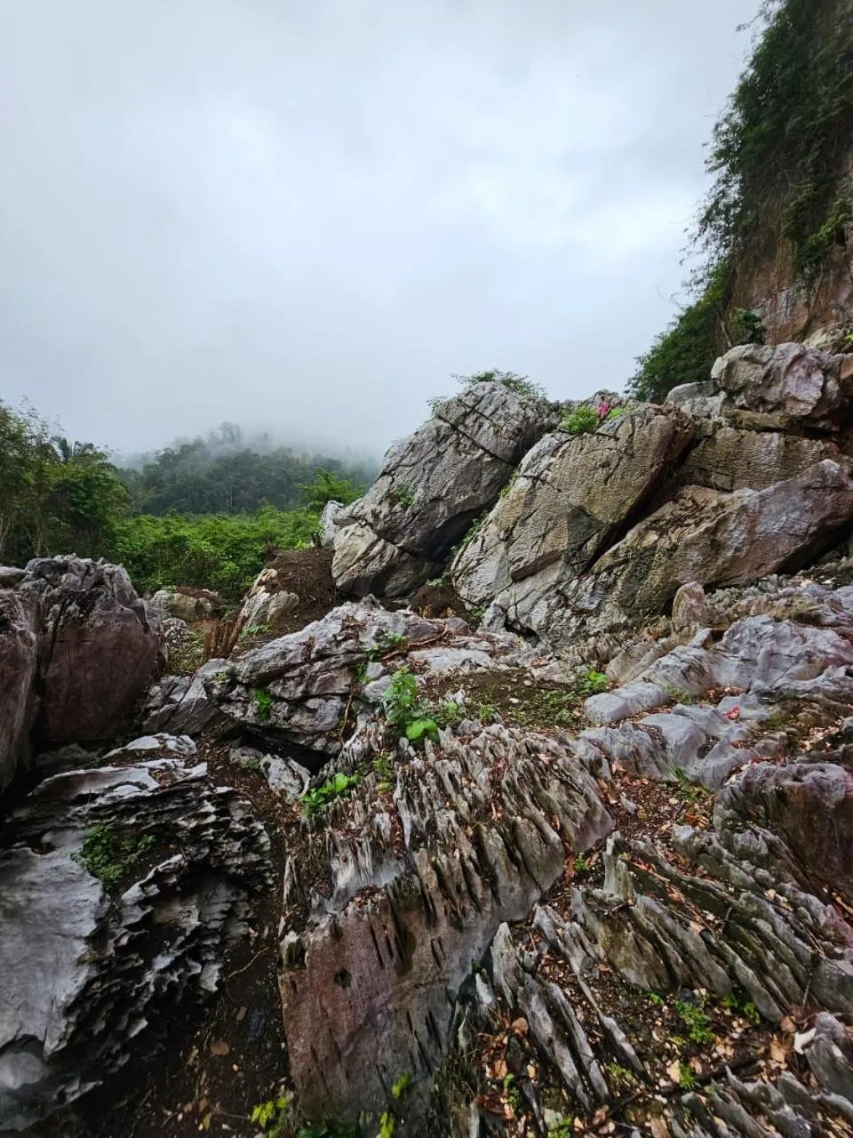 Country house Pulai Holiday Village