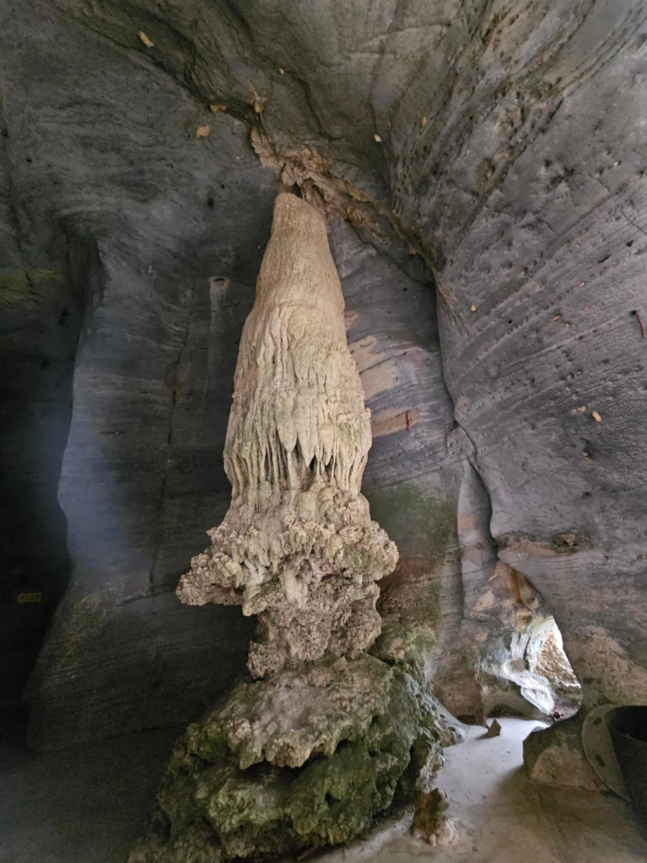 Natural landscape in Country house Pulai Holiday Village