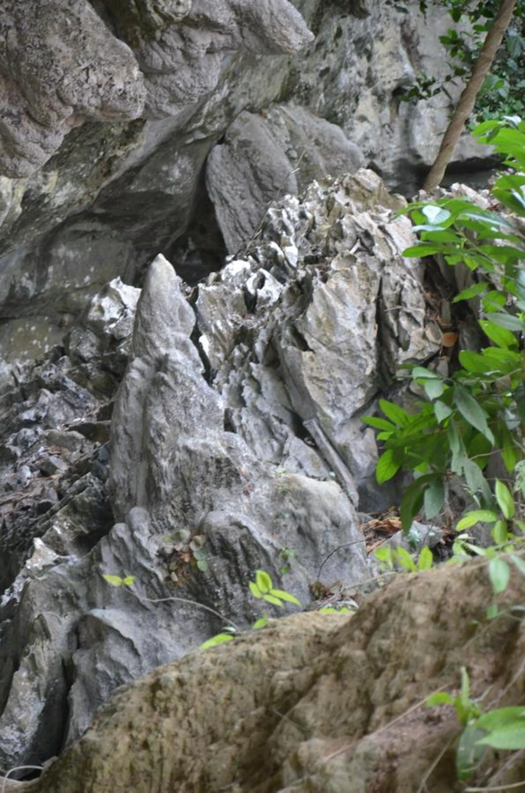 Property building in Country house Pulai Holiday Village