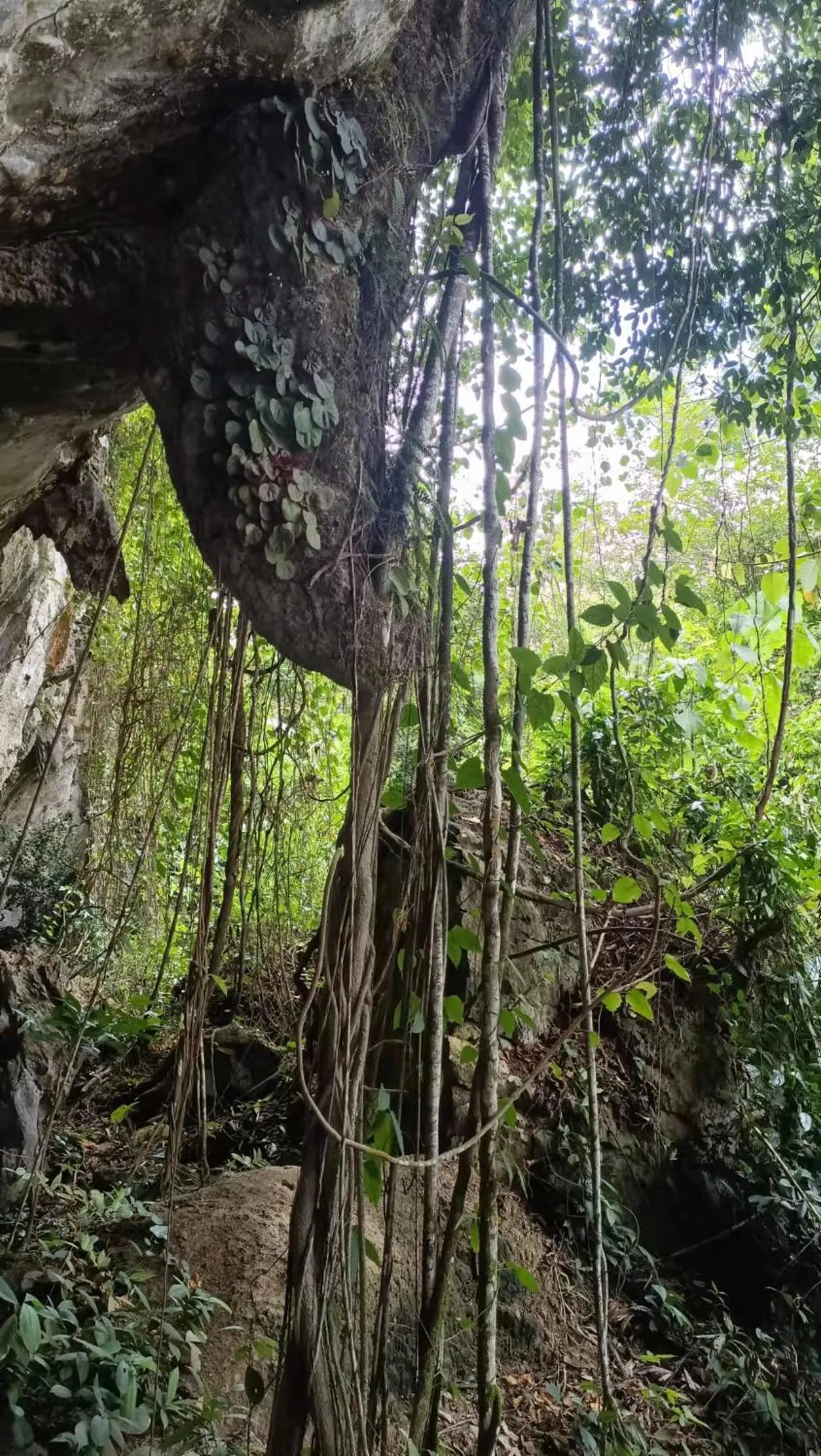 Property building in Country house Pulai Holiday Village