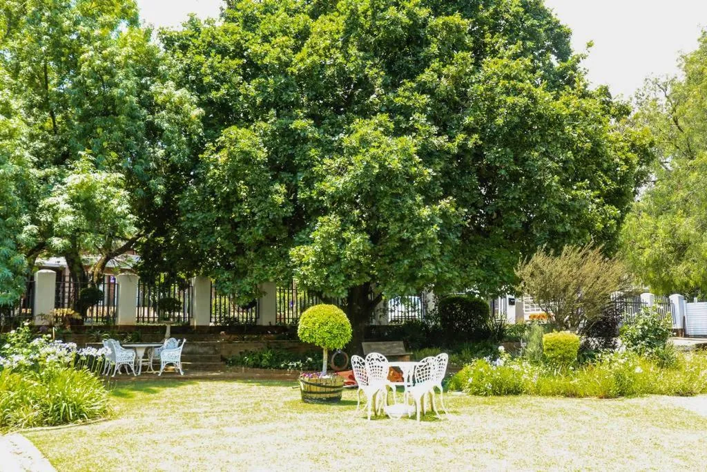 Garden in Aberdeen House