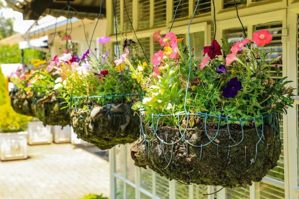 Decorative detail in Aberdeen House