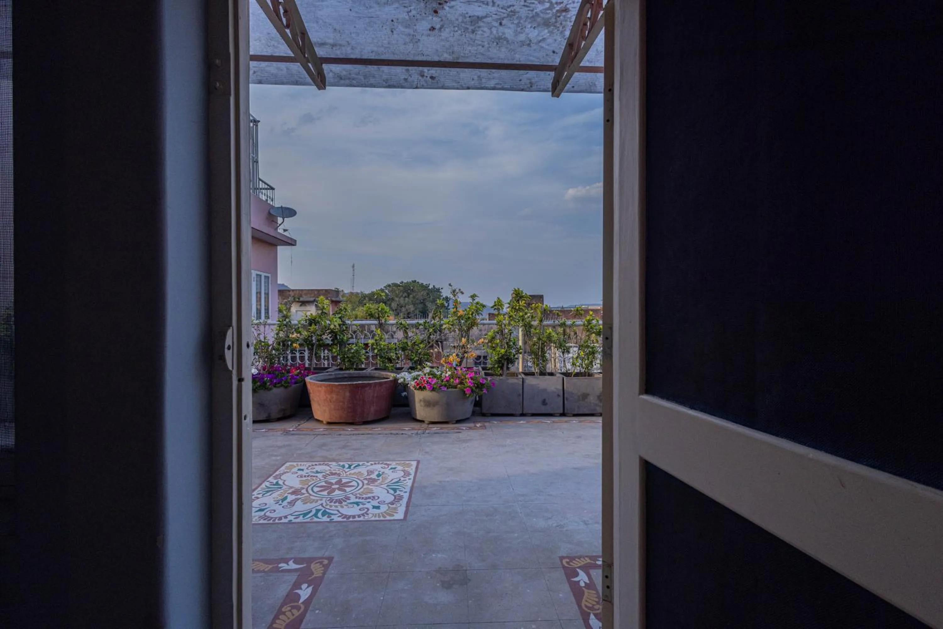Garden view in Sheel Mahal- Near Hawa Mahal