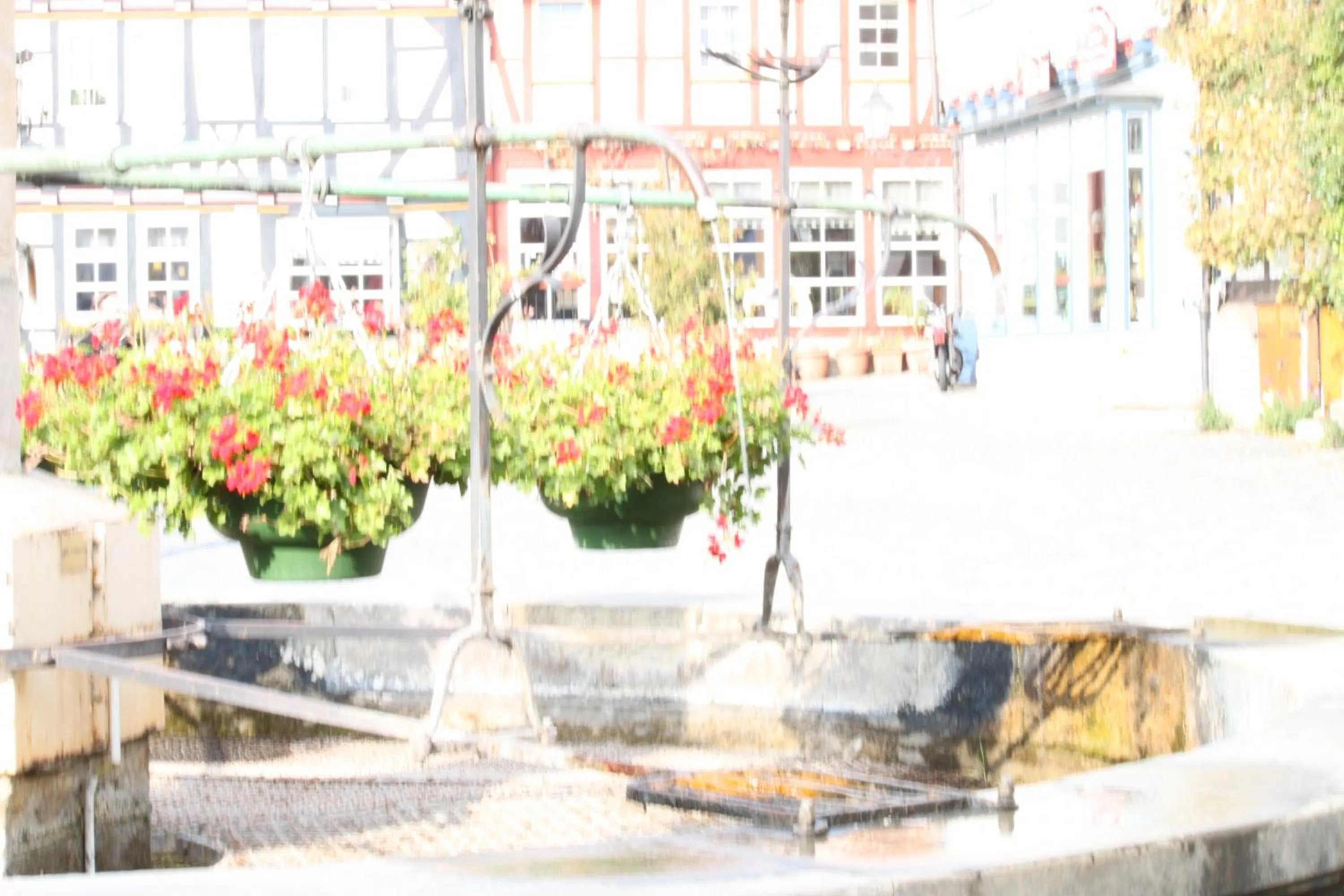 Area and facilities in Hotel Werratal