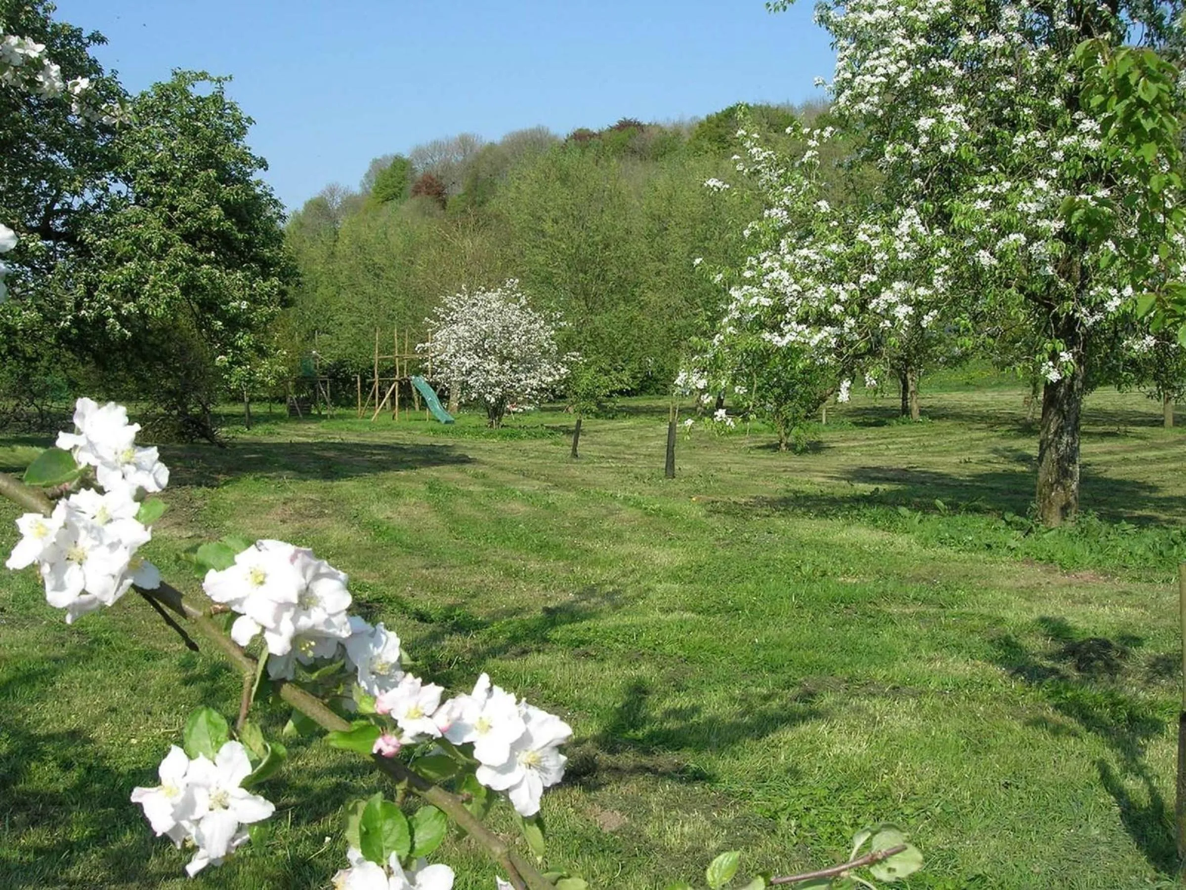 Garden in Le Clos du miroir