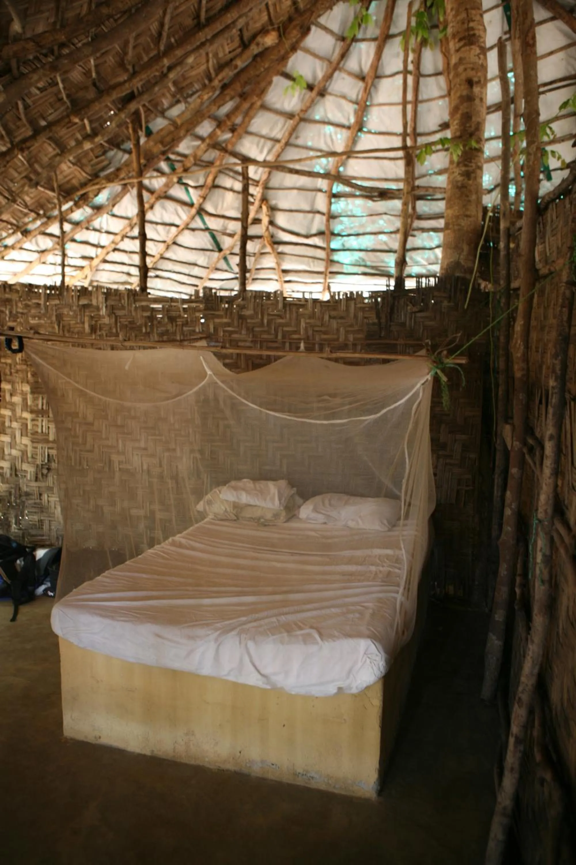 Bed in Daltons Banana Guesthouse