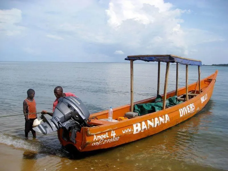 Daltons Banana Guesthouse