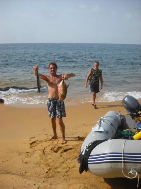 Daltons Banana Guesthouse