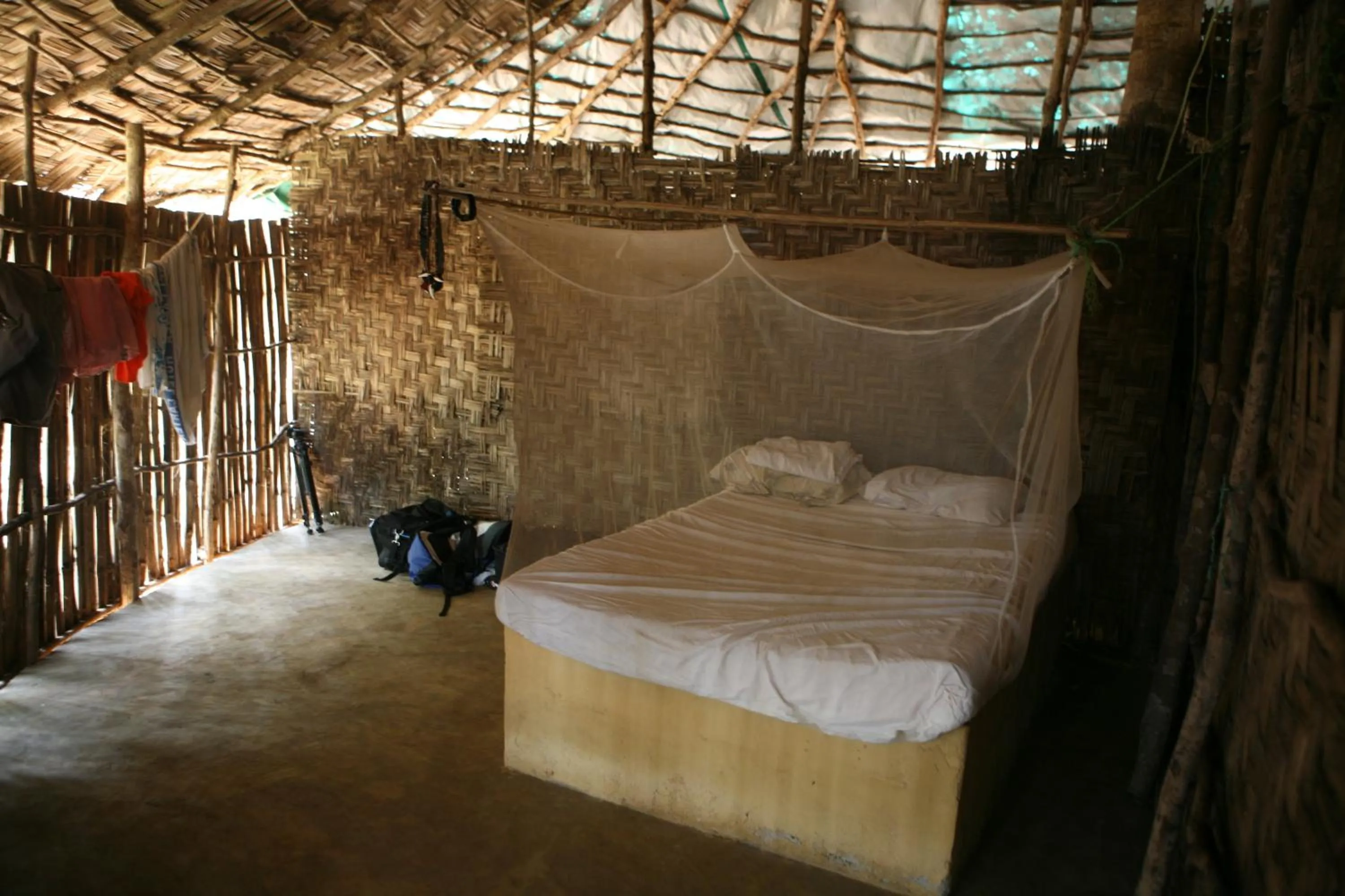 Bed in Daltons Banana Guesthouse