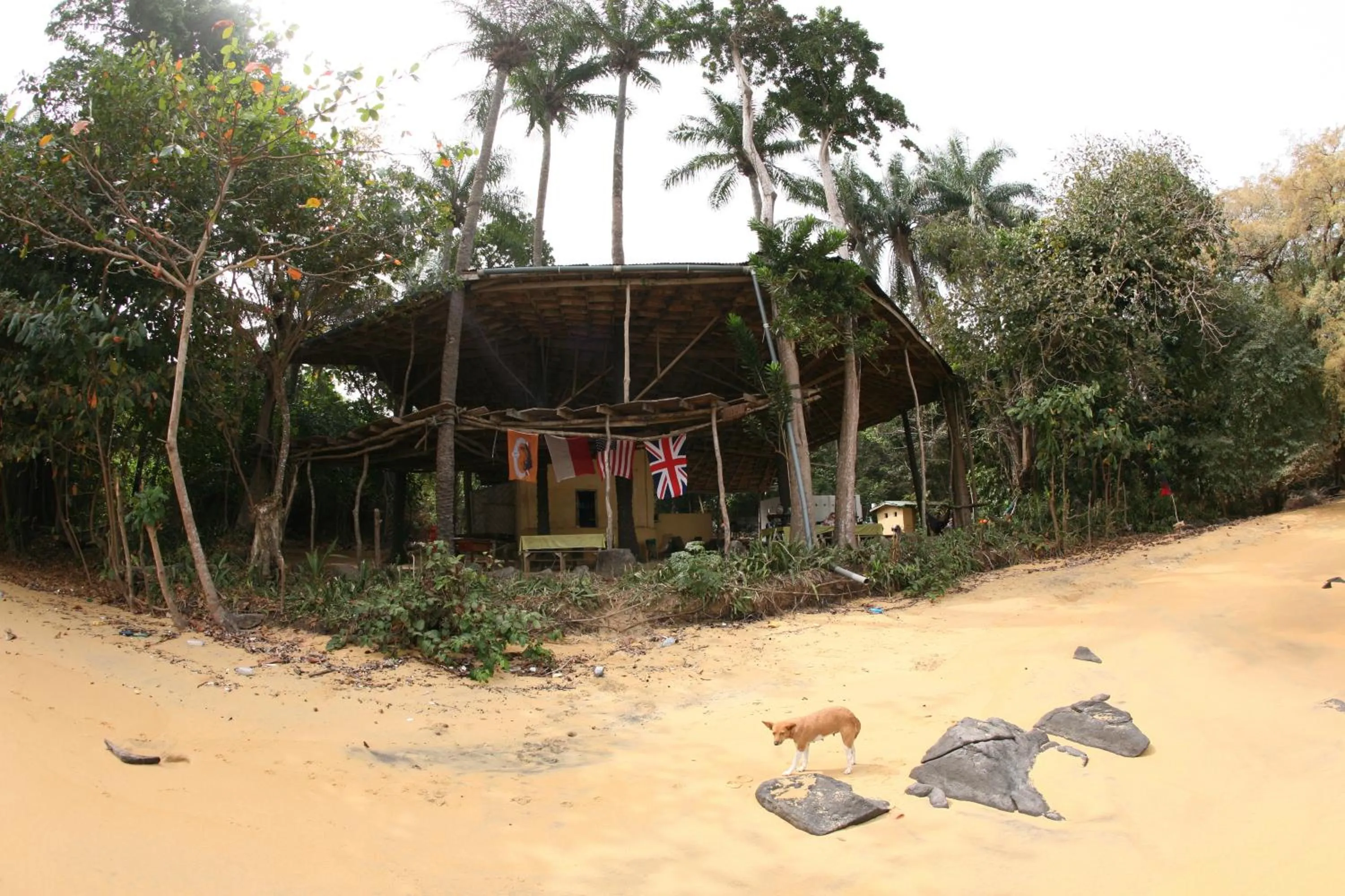 Daltons Banana Guesthouse