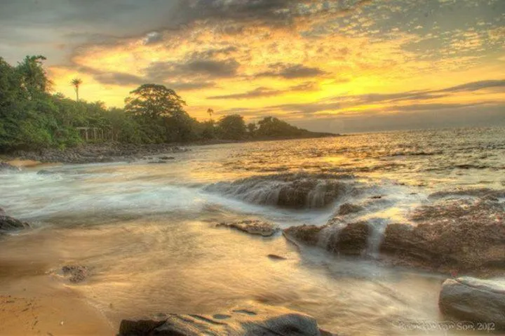 Daltons Banana Guesthouse