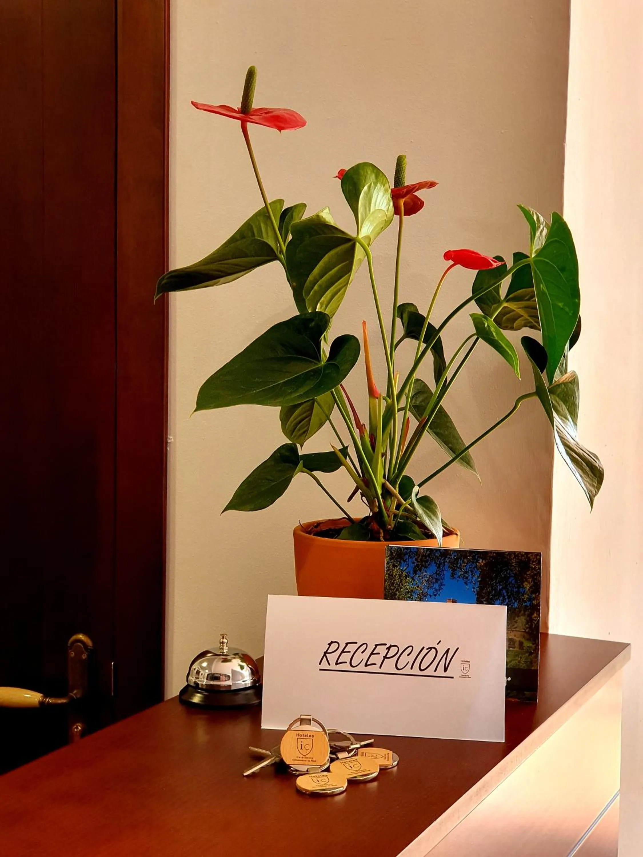 Lobby or reception in Hotel-Restaurante Casa García Almonaster La Real