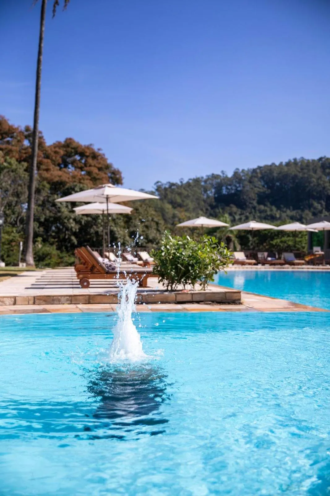 Swimming pool in Bendito Cacao Family Resort