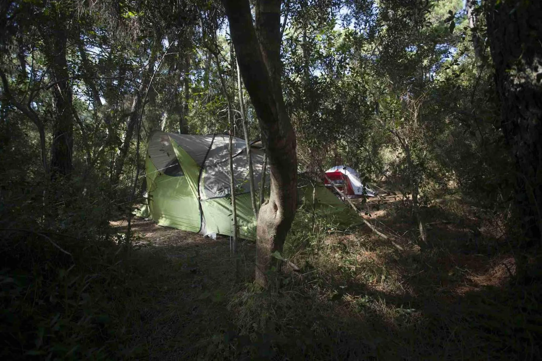 Spring in PuntAla Camp & Resort