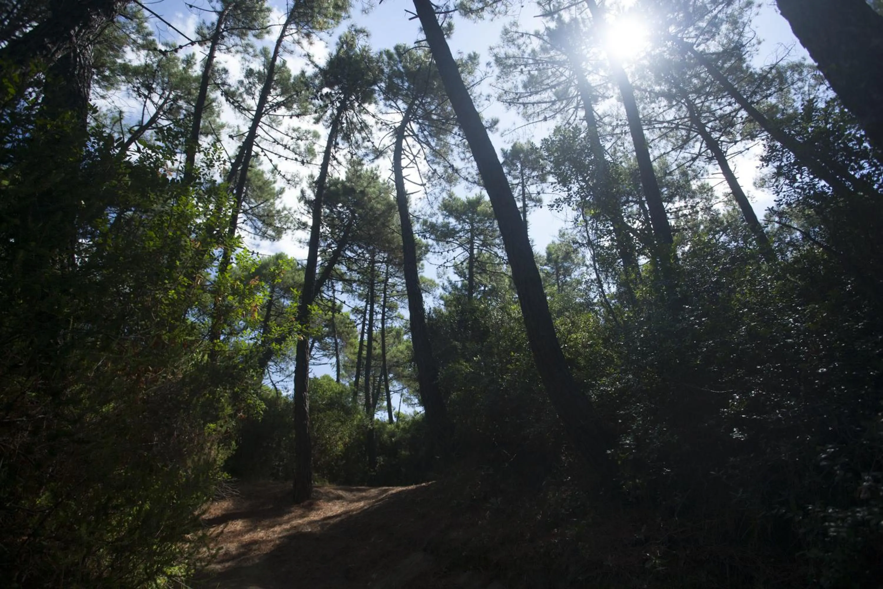 Other in PuntAla Camp & Resort