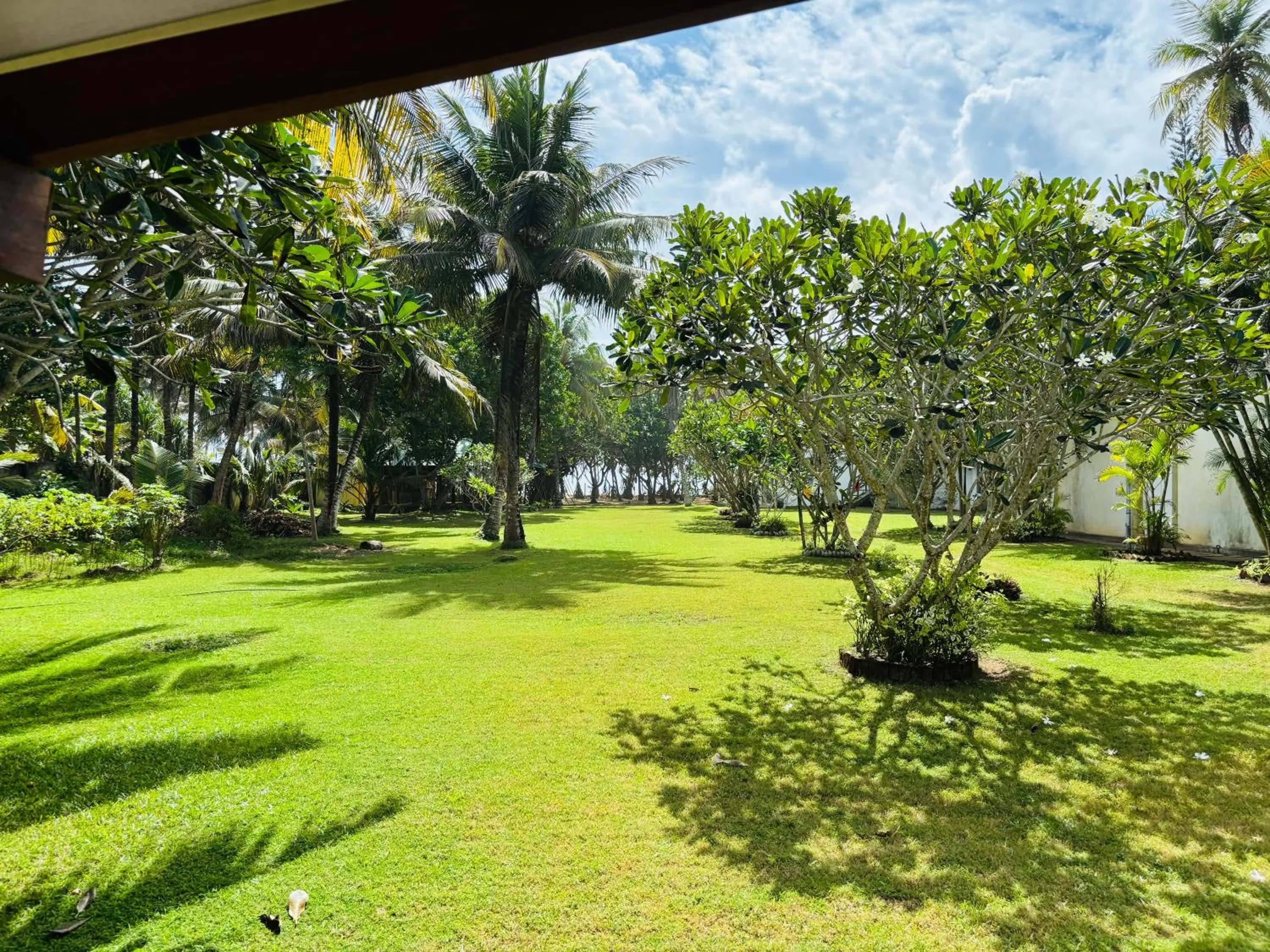 Garden view in Raja Beach Hotel