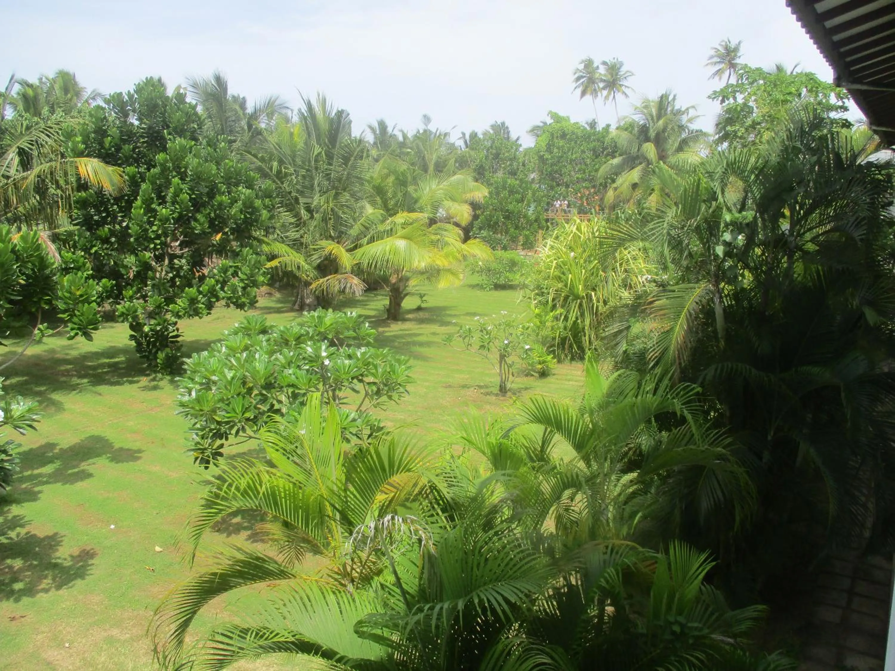 Garden in Raja Beach Hotel