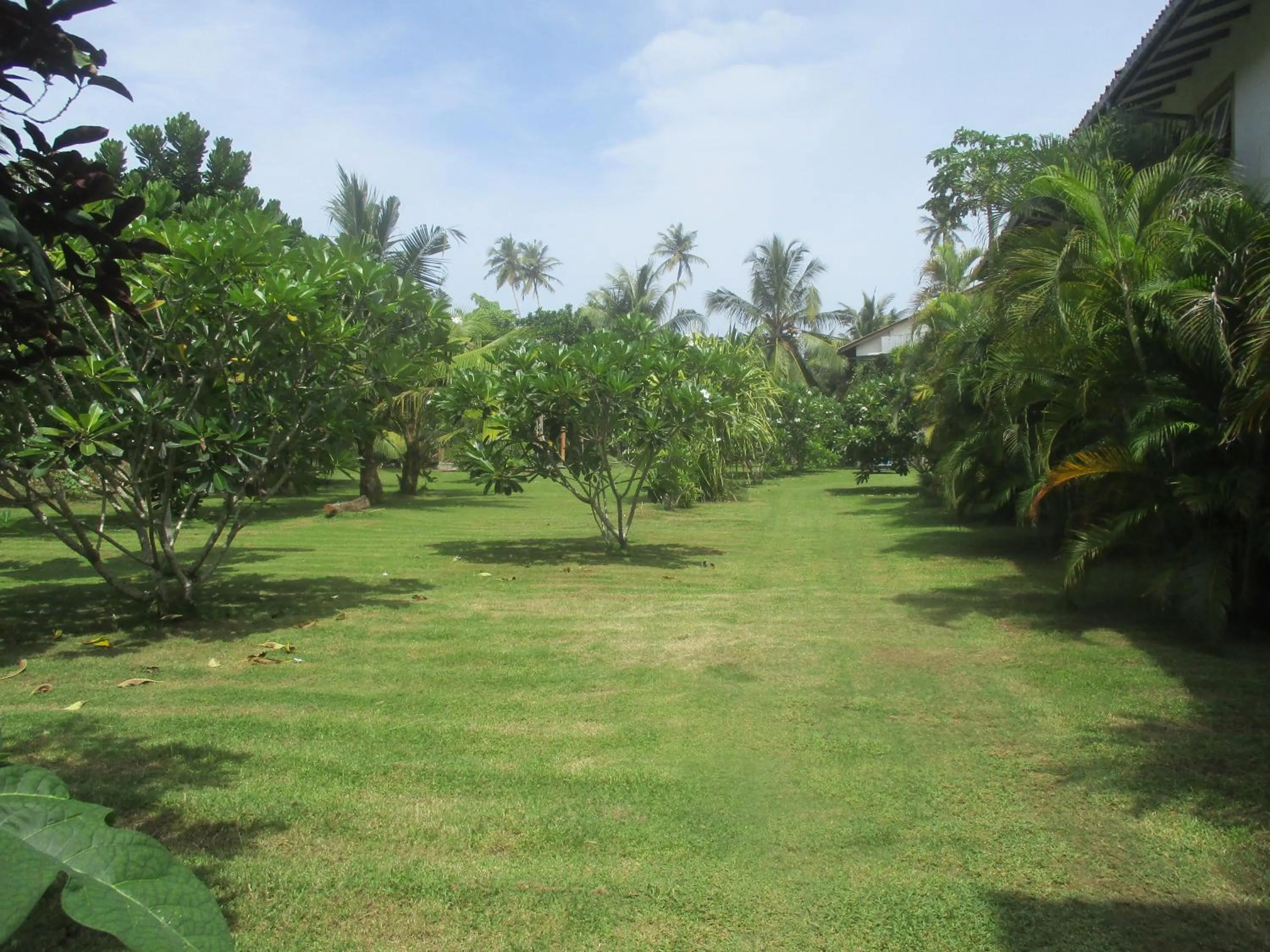 Garden in Raja Beach Hotel