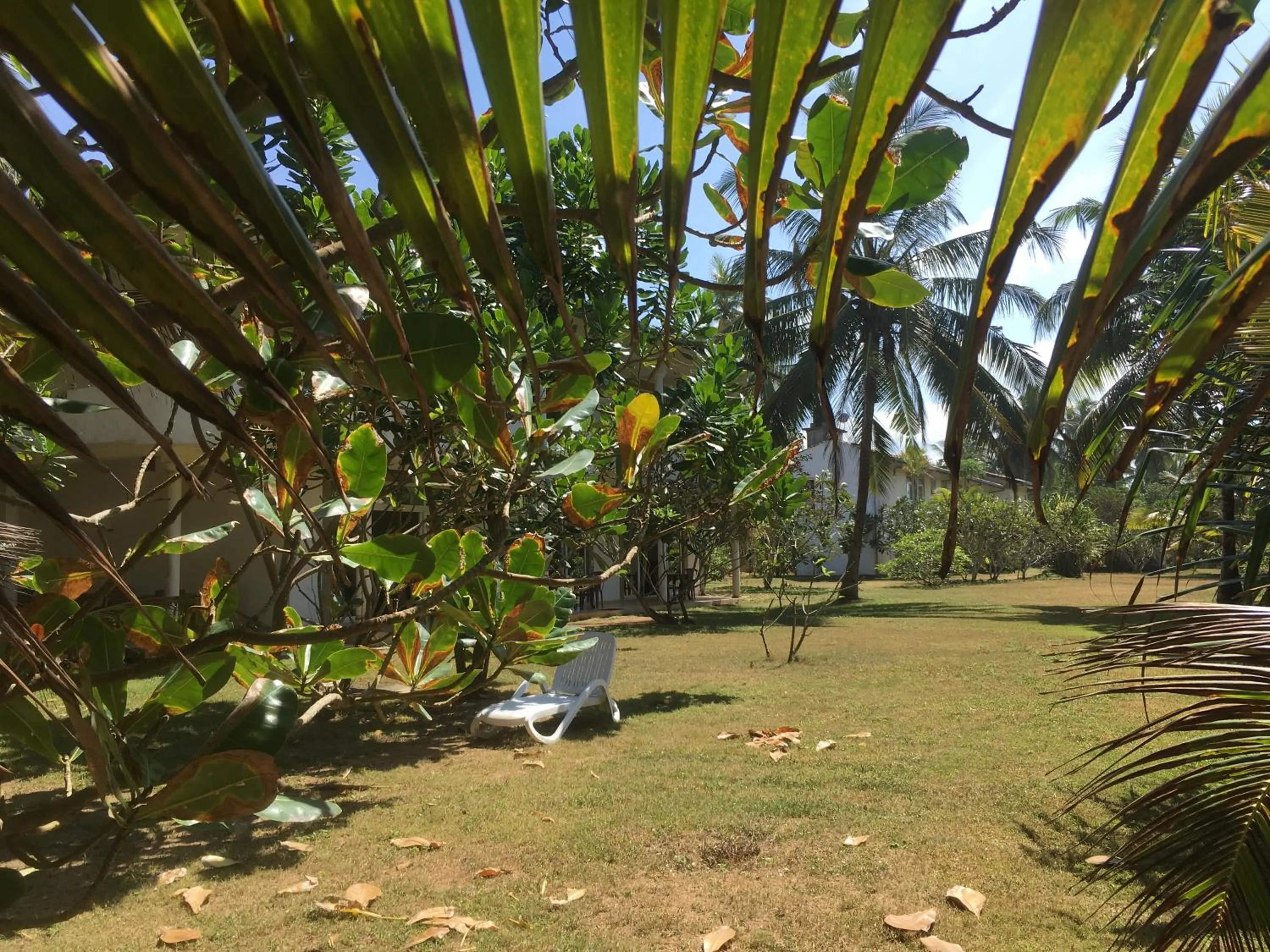 Garden in Raja Beach Hotel