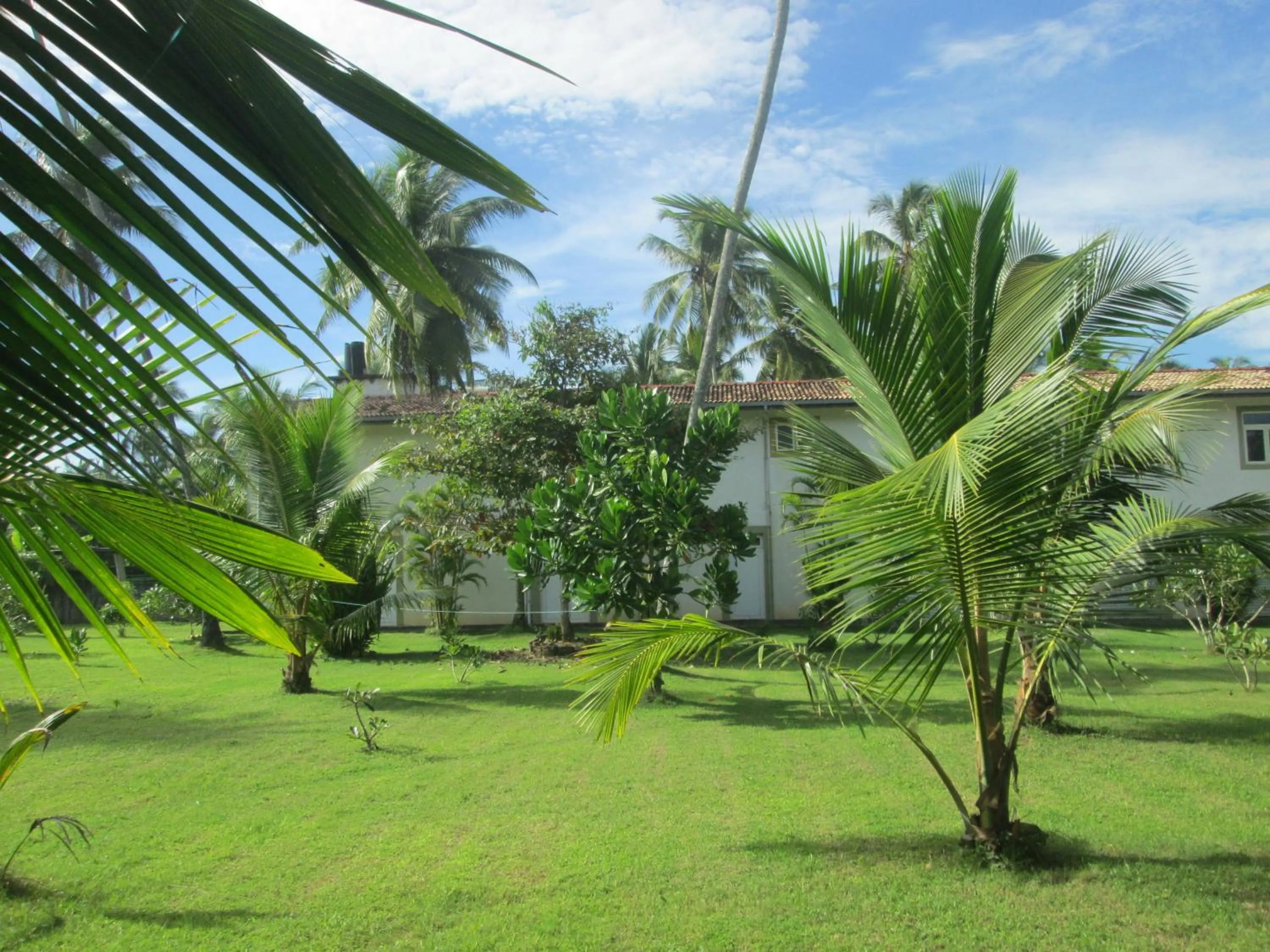 Garden in Raja Beach Hotel
