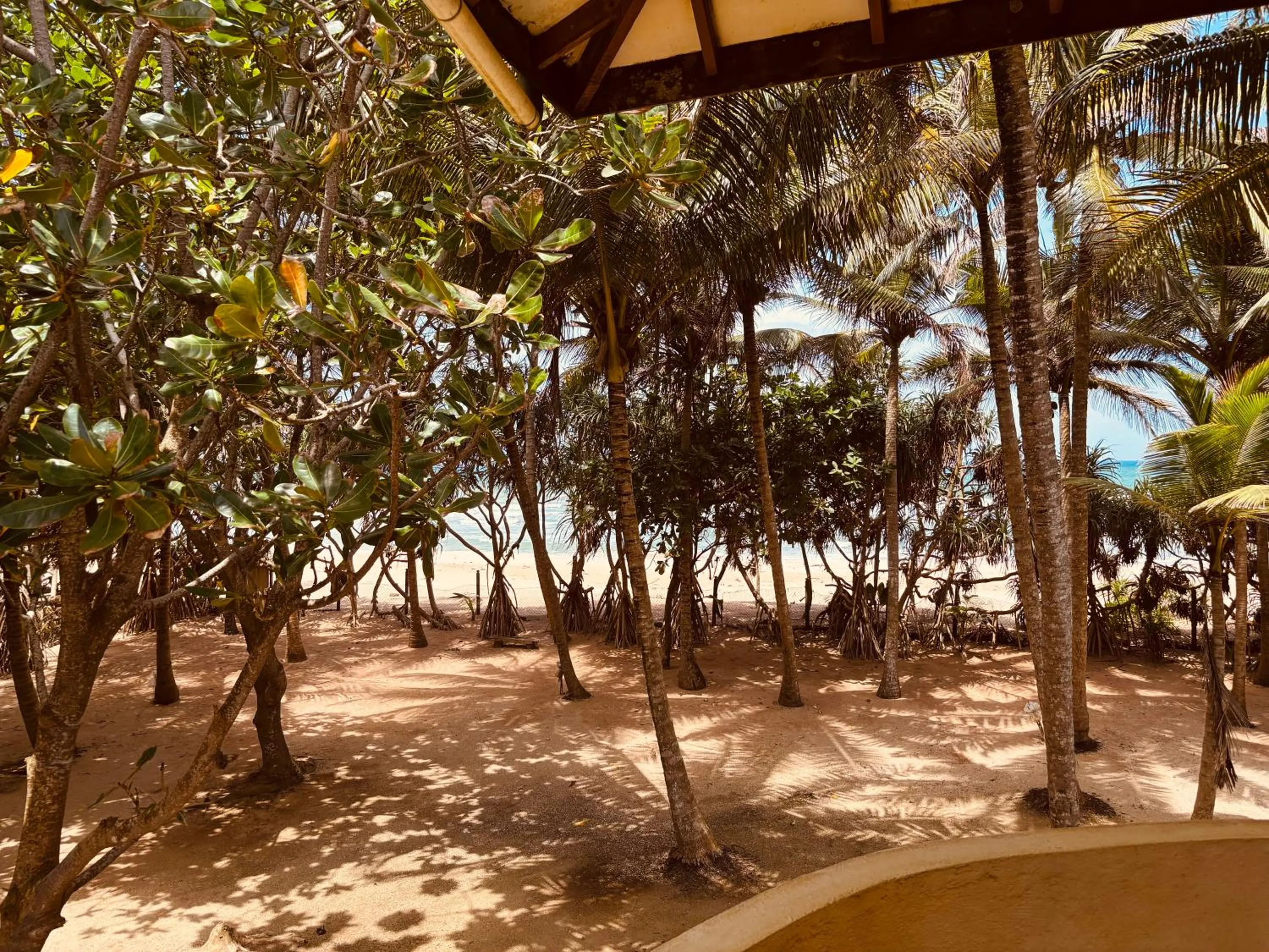 Sea view in Raja Beach Hotel