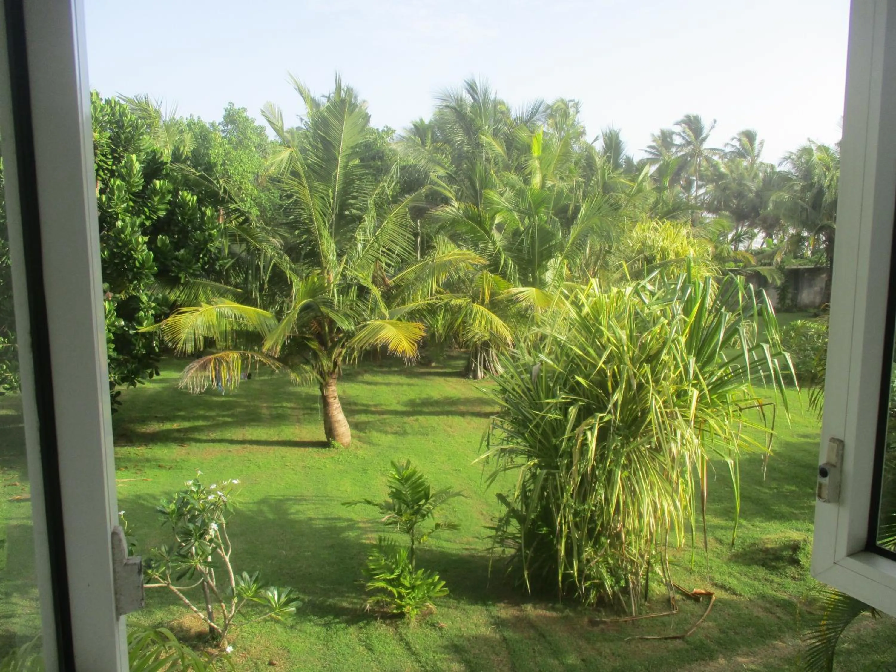 Garden view in Raja Beach Hotel