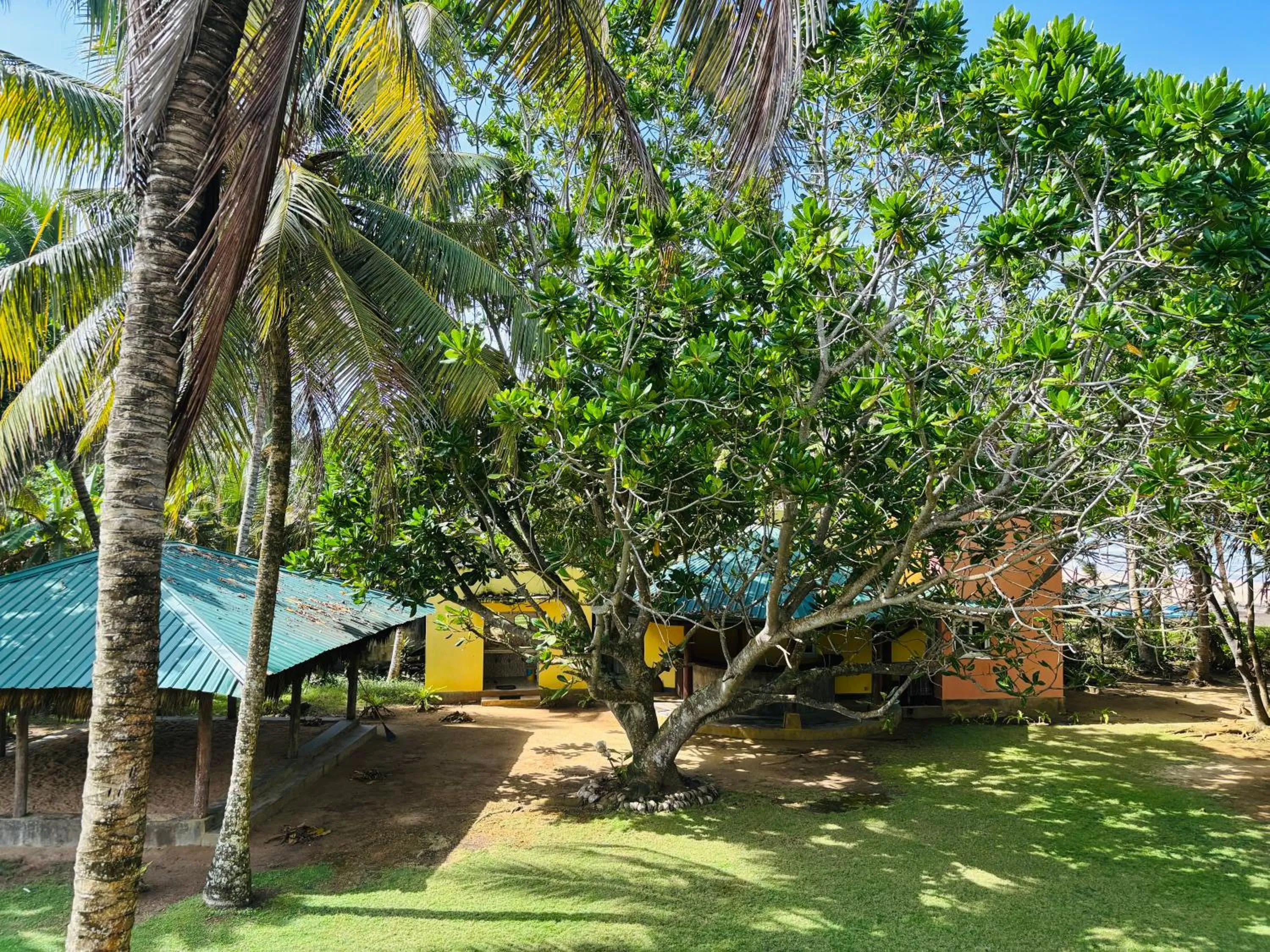 Garden view in Raja Beach Hotel