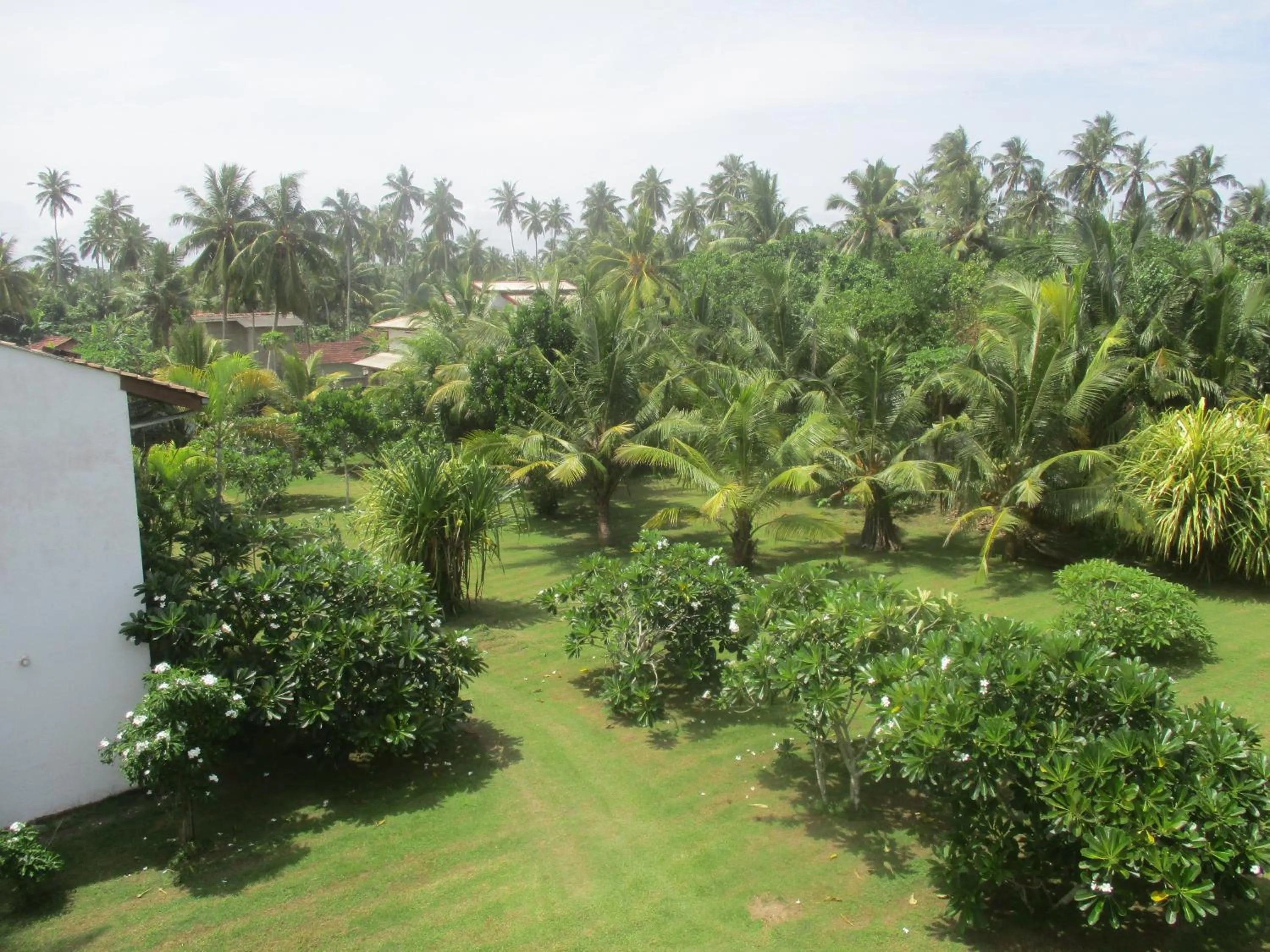 Garden in Raja Beach Hotel