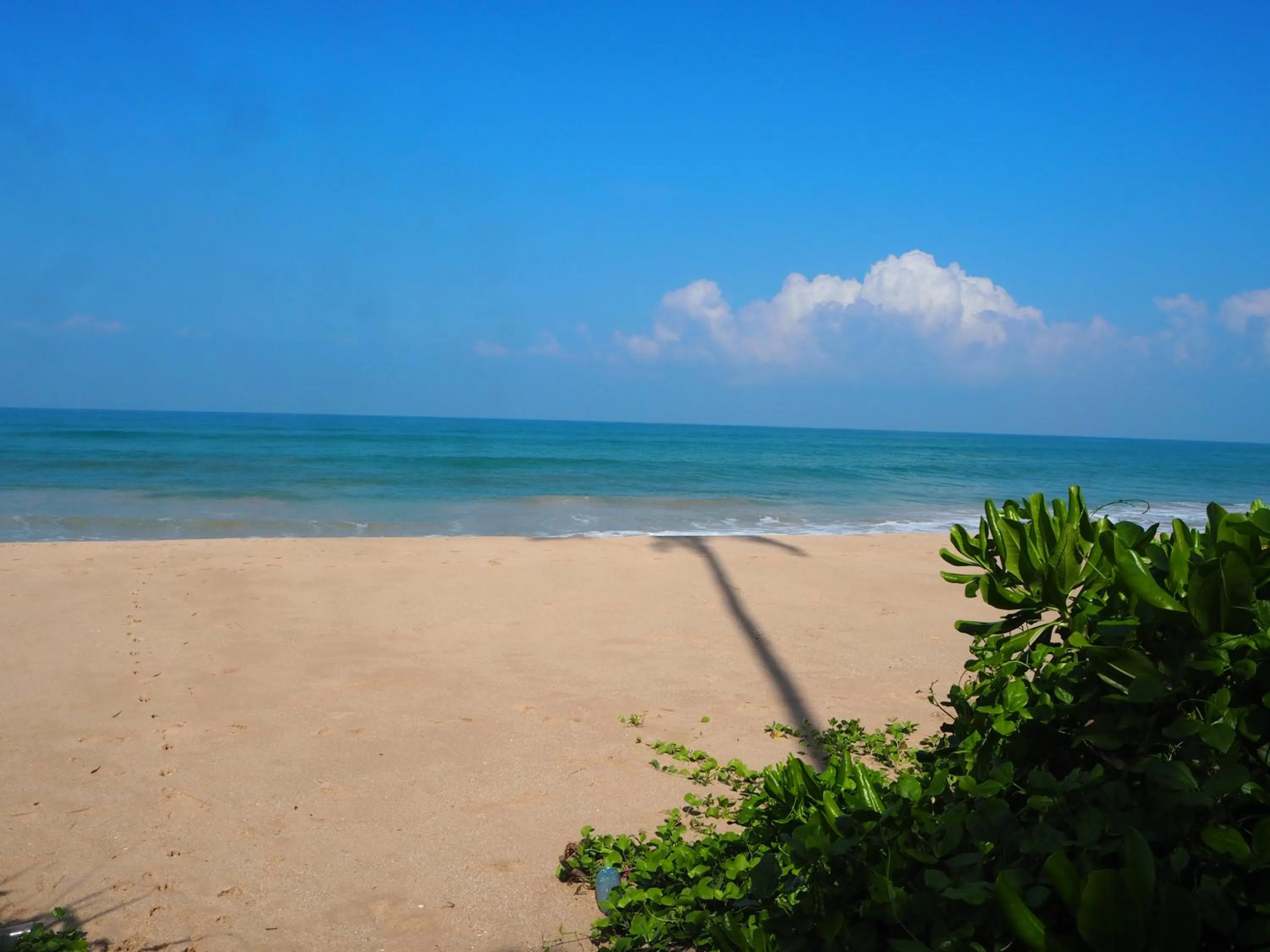 Beach in Raja Beach Hotel