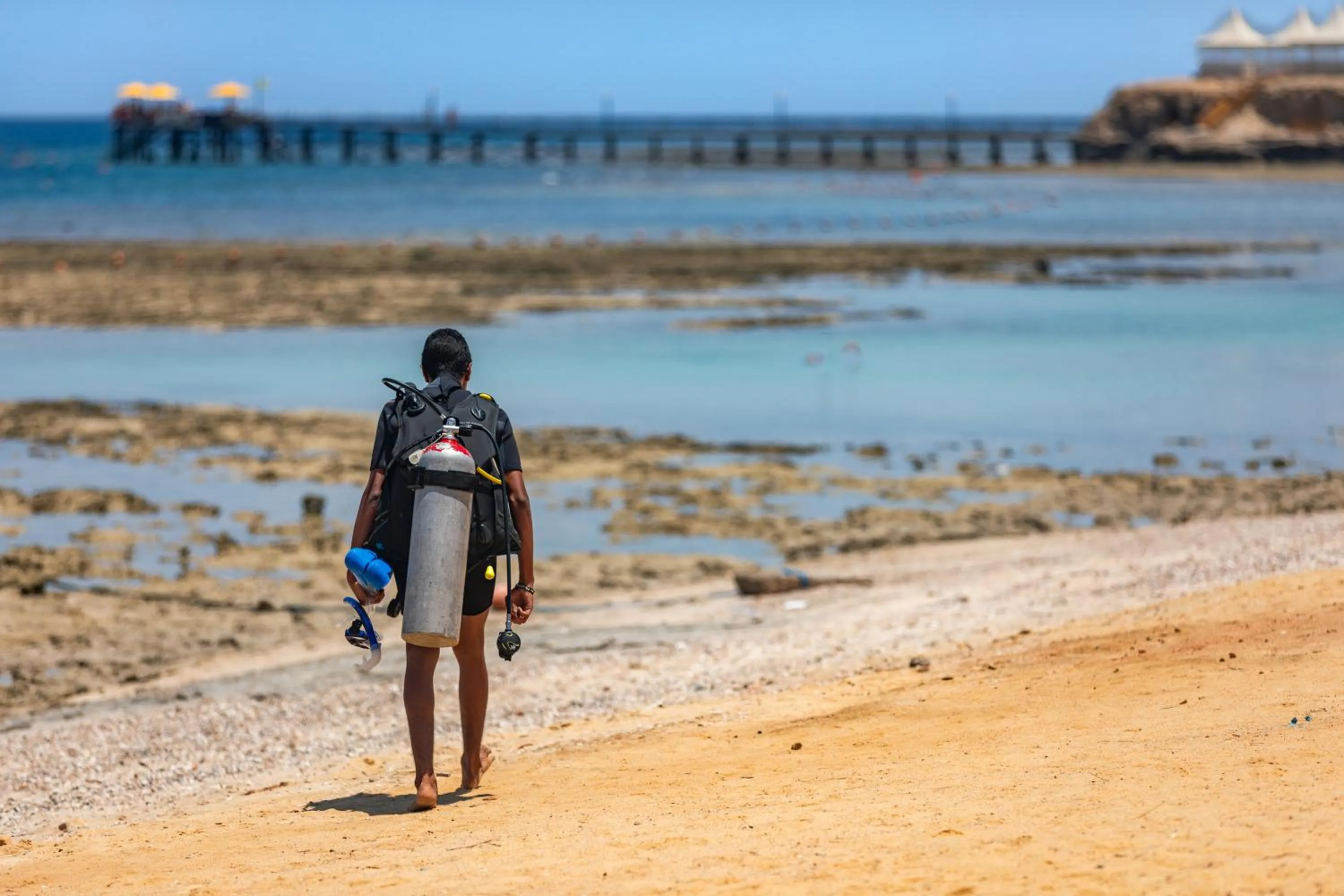 Diving in Pickalbatros Vita Resort - Portofino Marsa Alam