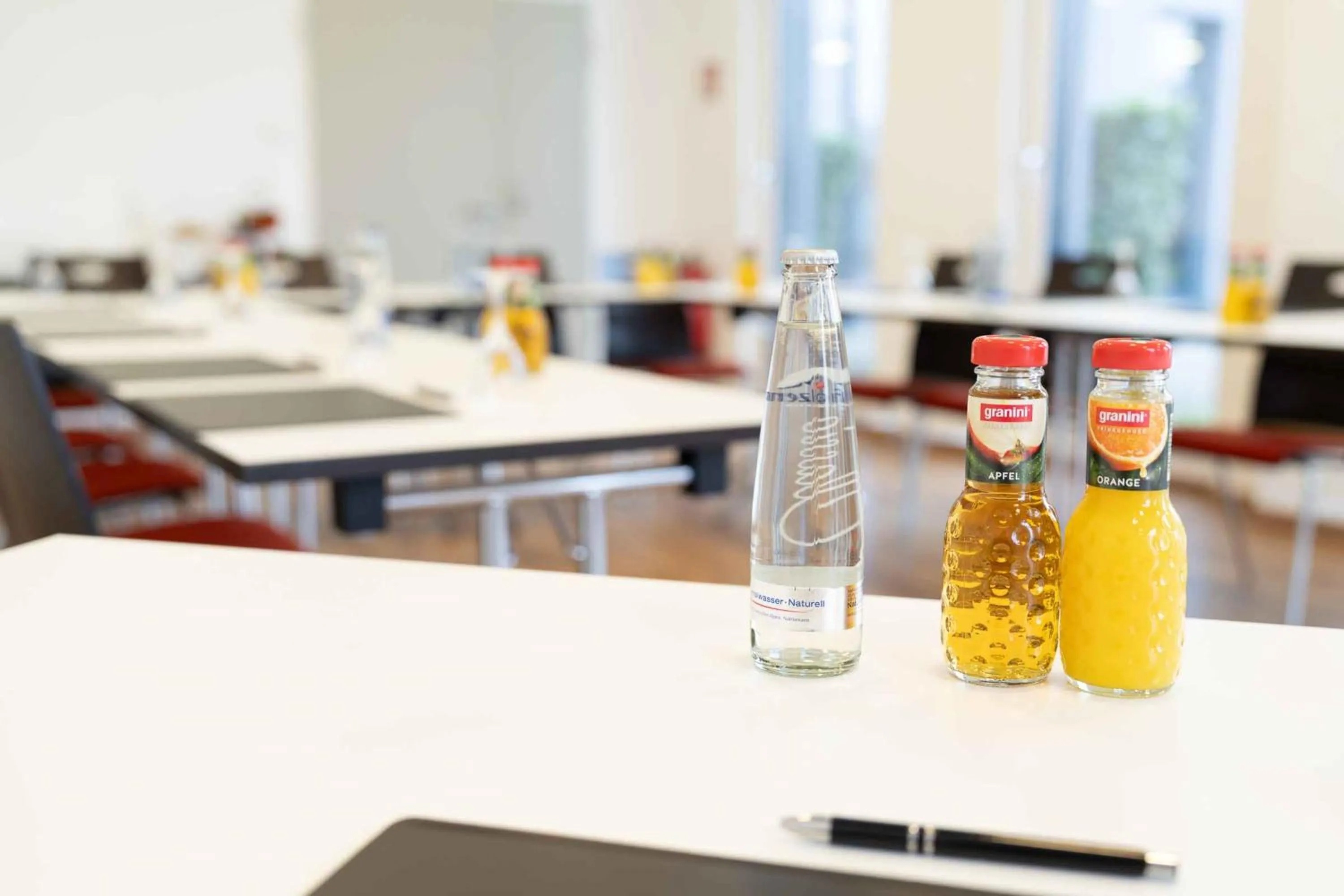 Meeting/conference room in PLAZA INN Dachau - München