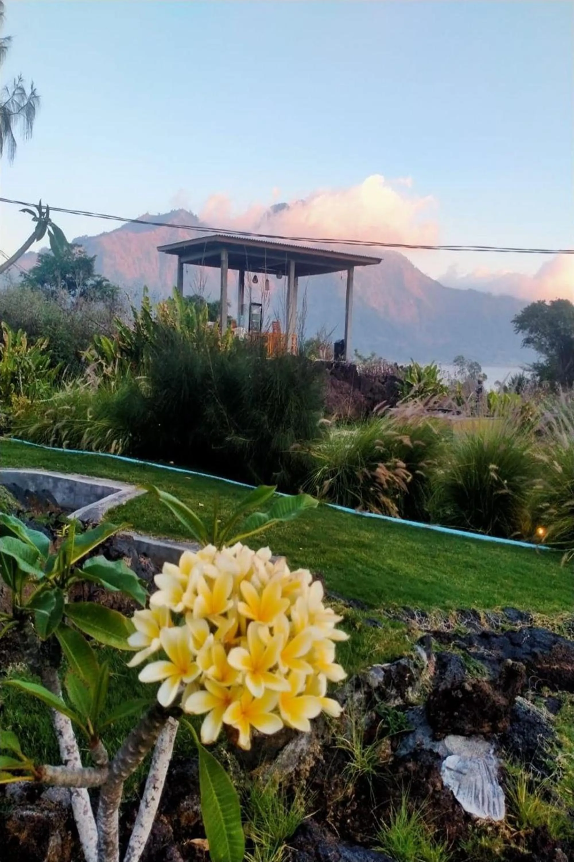 Garden in Onion Garden And Natural Hotspring