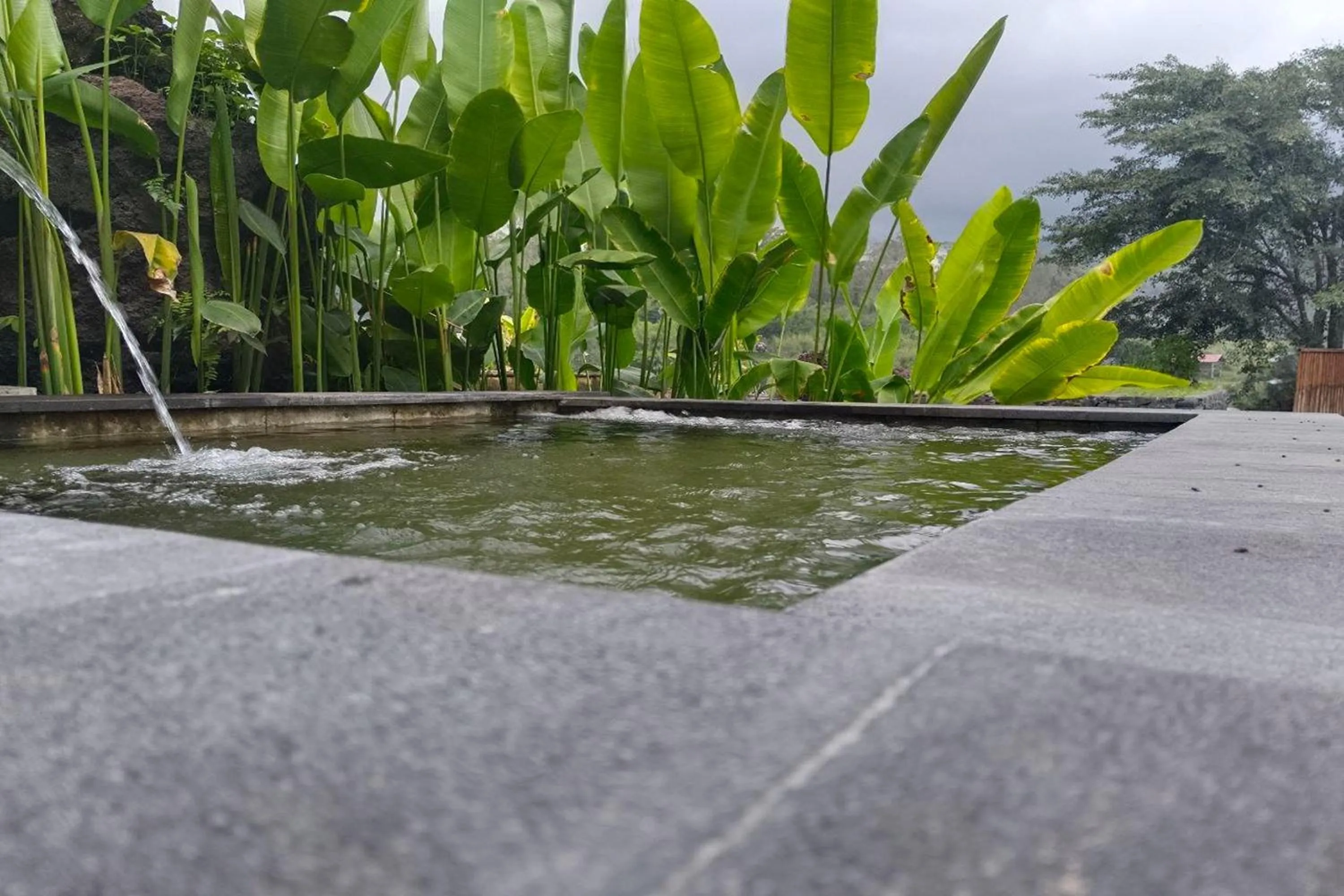 Garden view in Onion Garden And Natural Hotspring